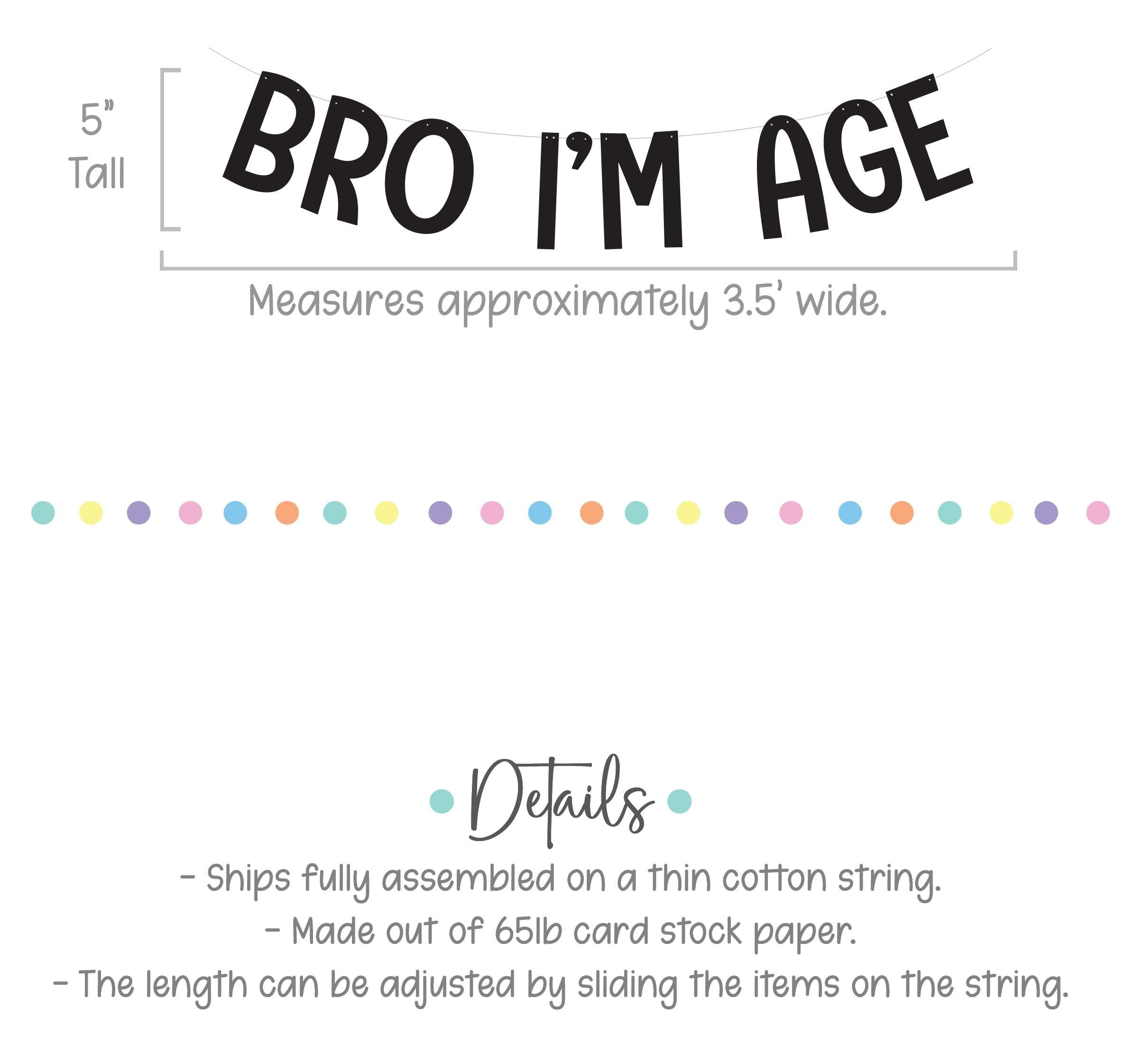 Bro I&#39;m Twelve, Bro Birthday Banner, Bro Birthday, Bro I&#39;m Age Decorations, Bro Decorations, 12th Birthday Banner, 12th birthday Party Ideas