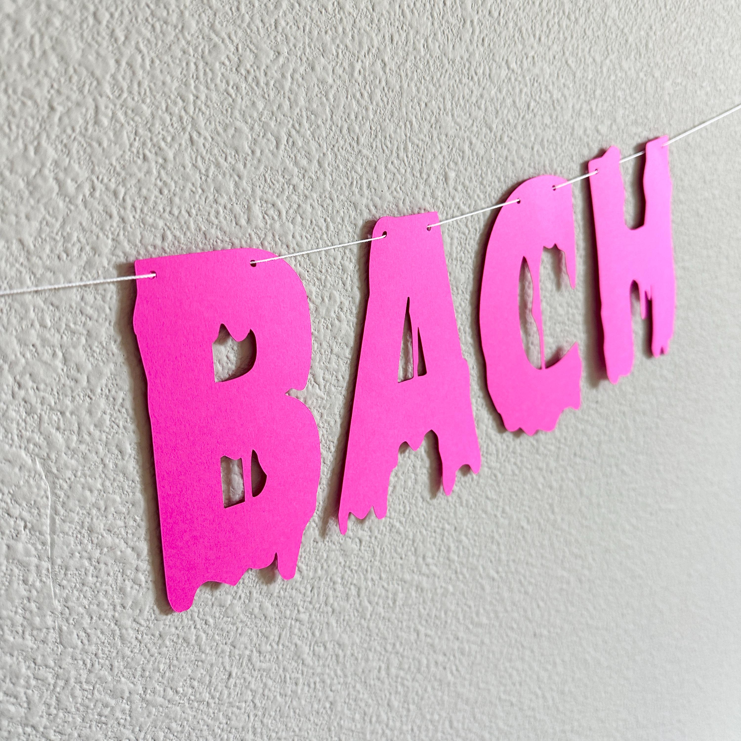 Spooky Bach, Halloween Themed Bachelorette Decoration, Spooky Bachelorette Banner, Spooky Bach Banner, October Bachelorette Theme Ideas