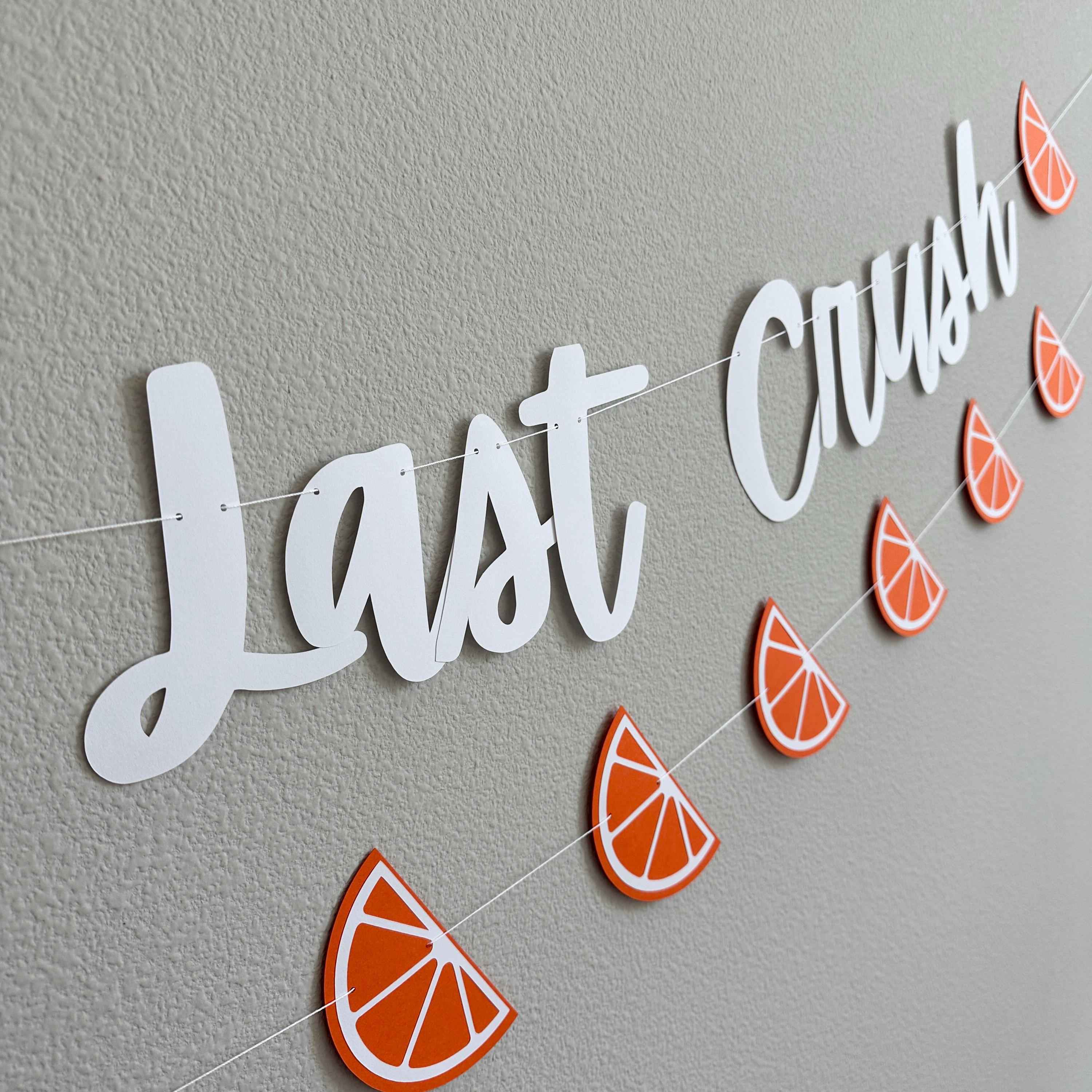 Last Crush Banner, Bachelorette Party Decorations, My Last Crush, Last Crush Themed Bachelorette Party Decorations