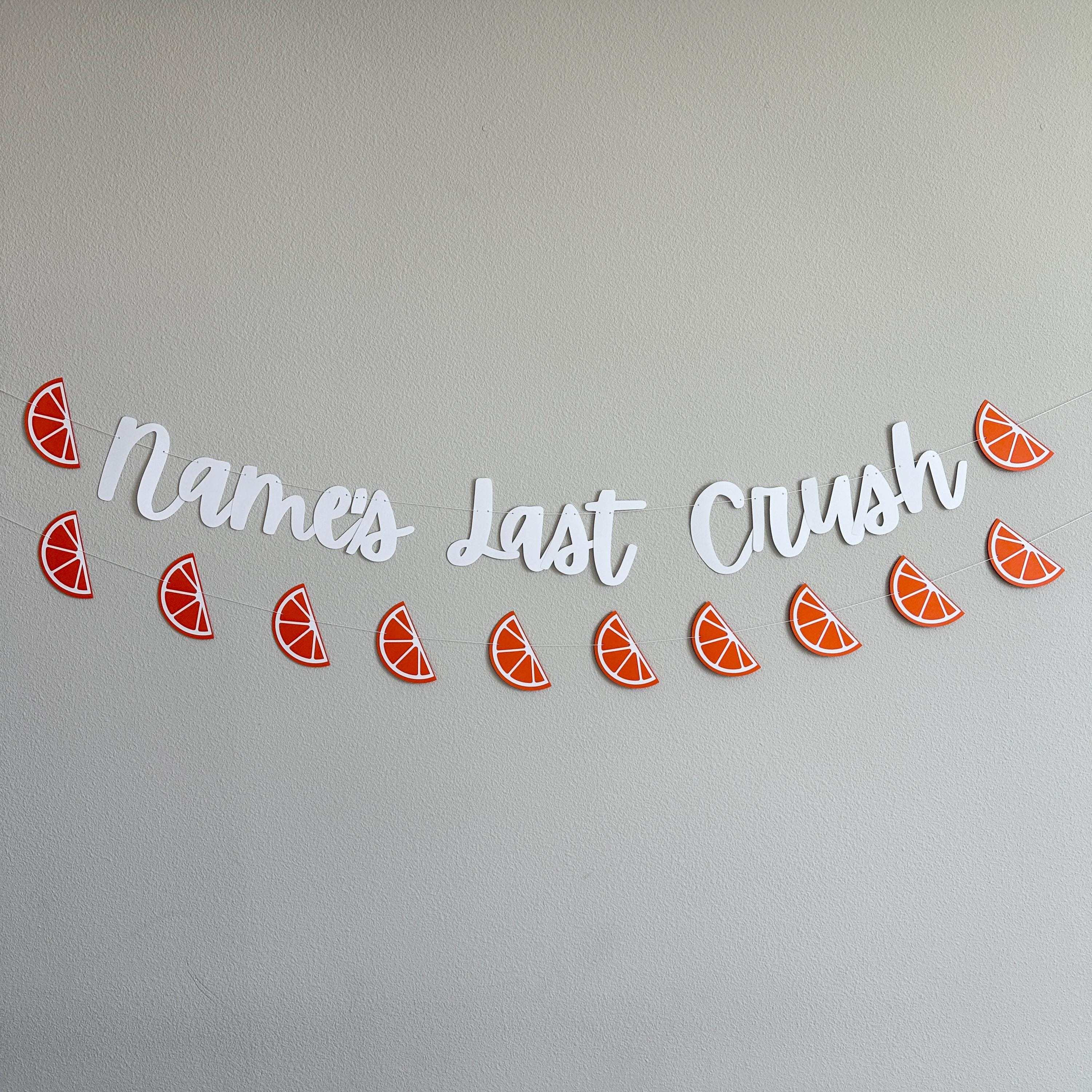 Last Crush Banner, Bachelorette Party Decorations, My Last Crush, Last Crush Themed Bachelorette Party Decorations