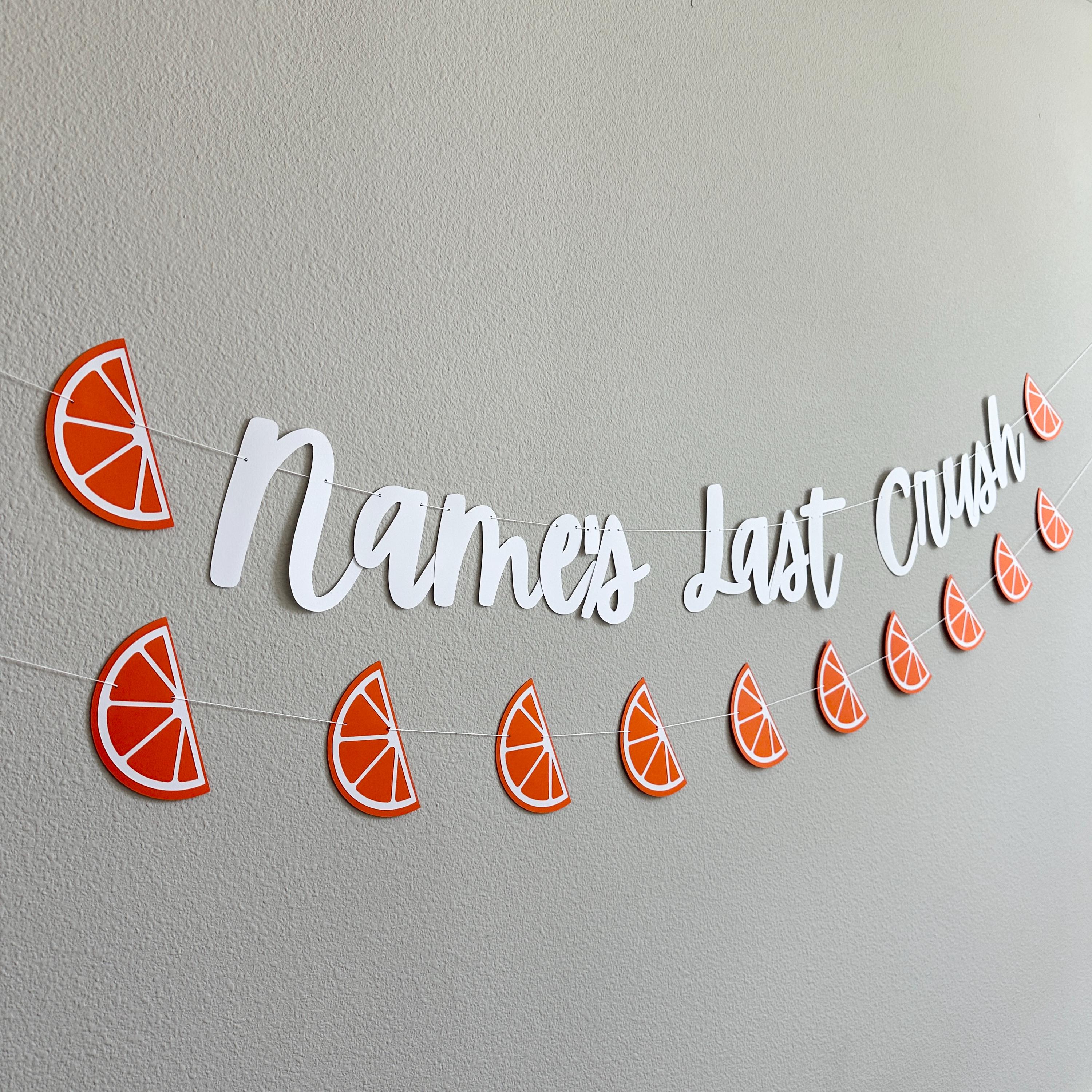 Last Crush Banner, Bachelorette Party Decorations, My Last Crush, Last Crush Themed Bachelorette Party Decorations