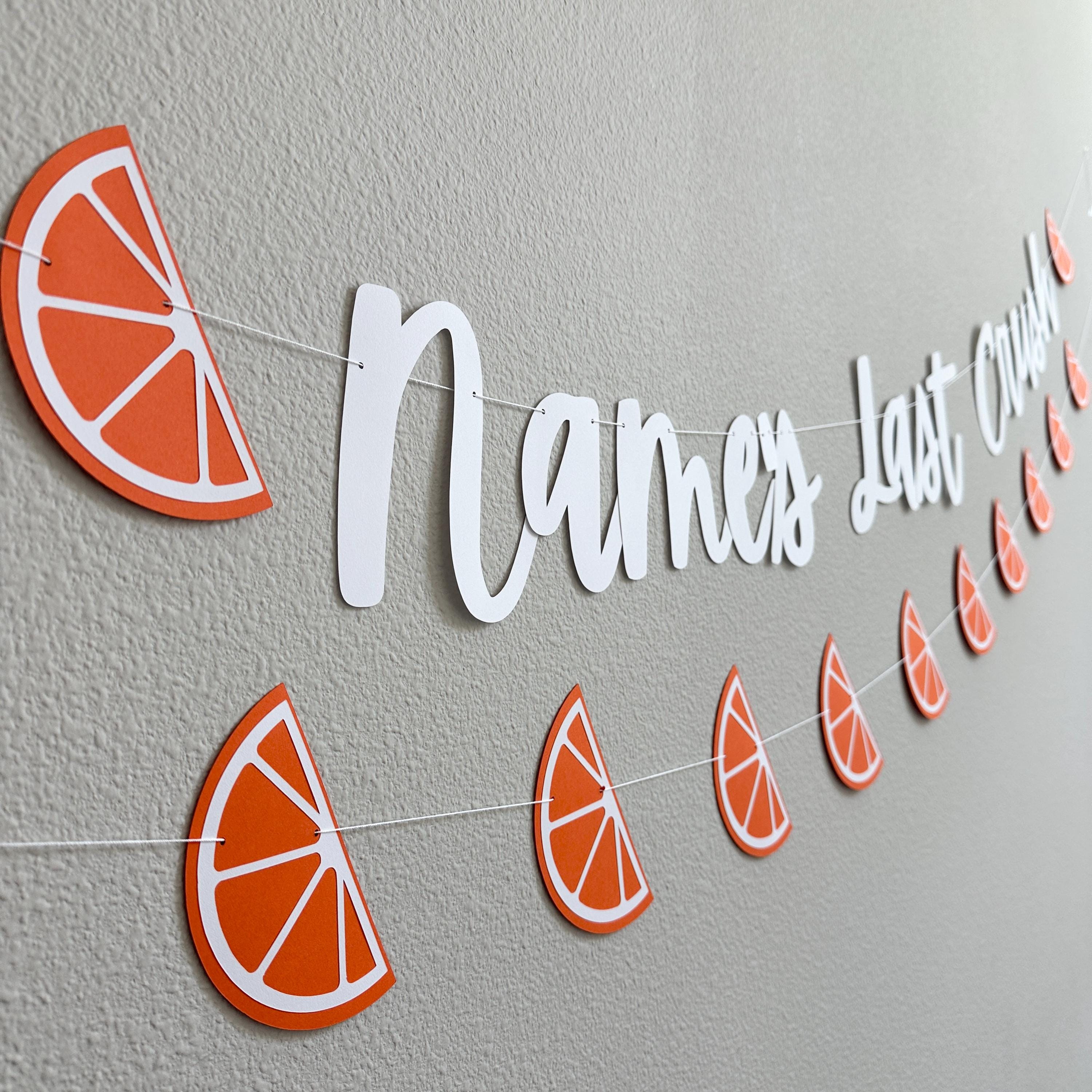 Last Crush Banner, Bachelorette Party Decorations, My Last Crush, Last Crush Themed Bachelorette Party Decorations