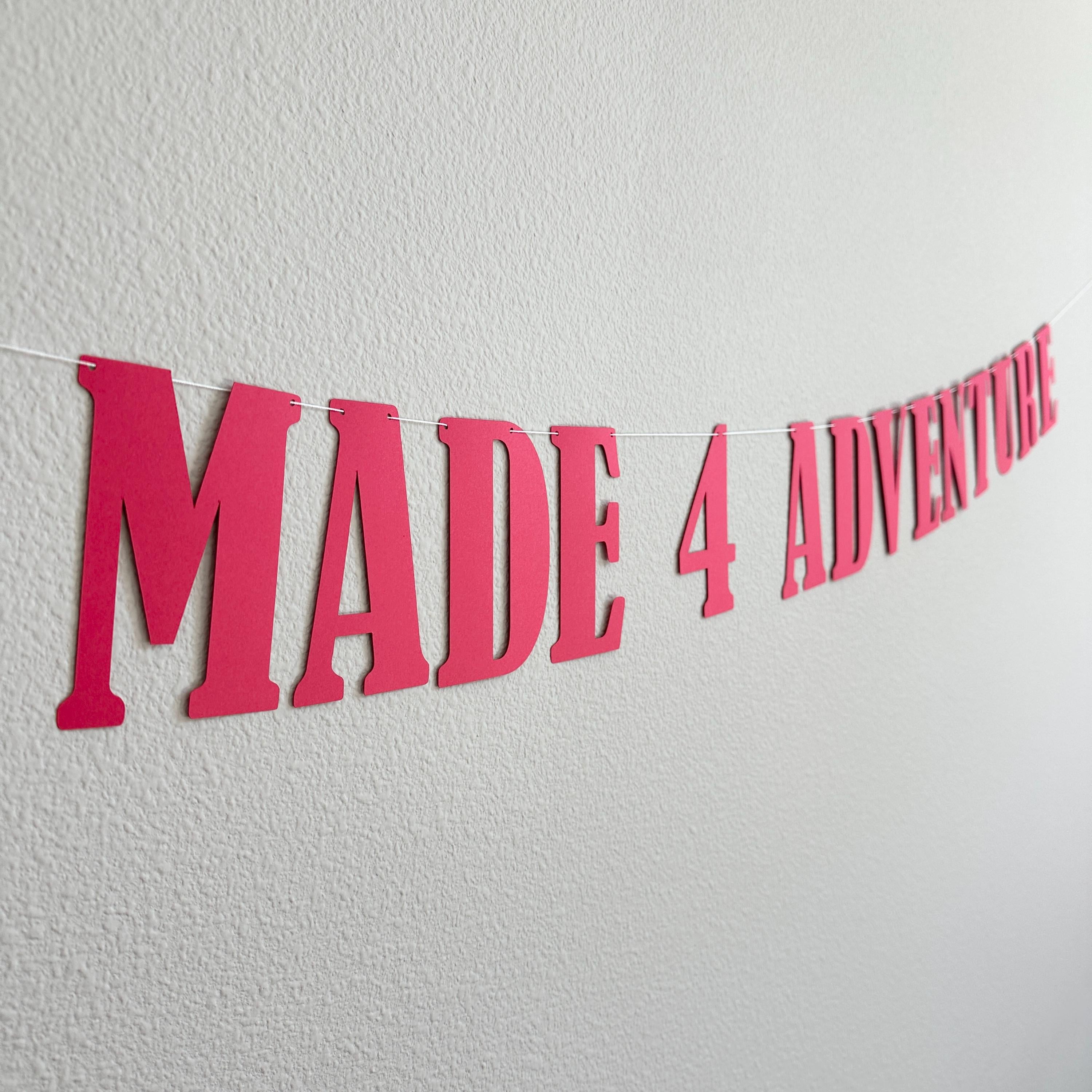 Made 4 Adventure, 4th Birthday Party Decorations, 4th Birthday Celebrations, 4th Birthday Adventure Theme, 4th Birthday Theme Ideas