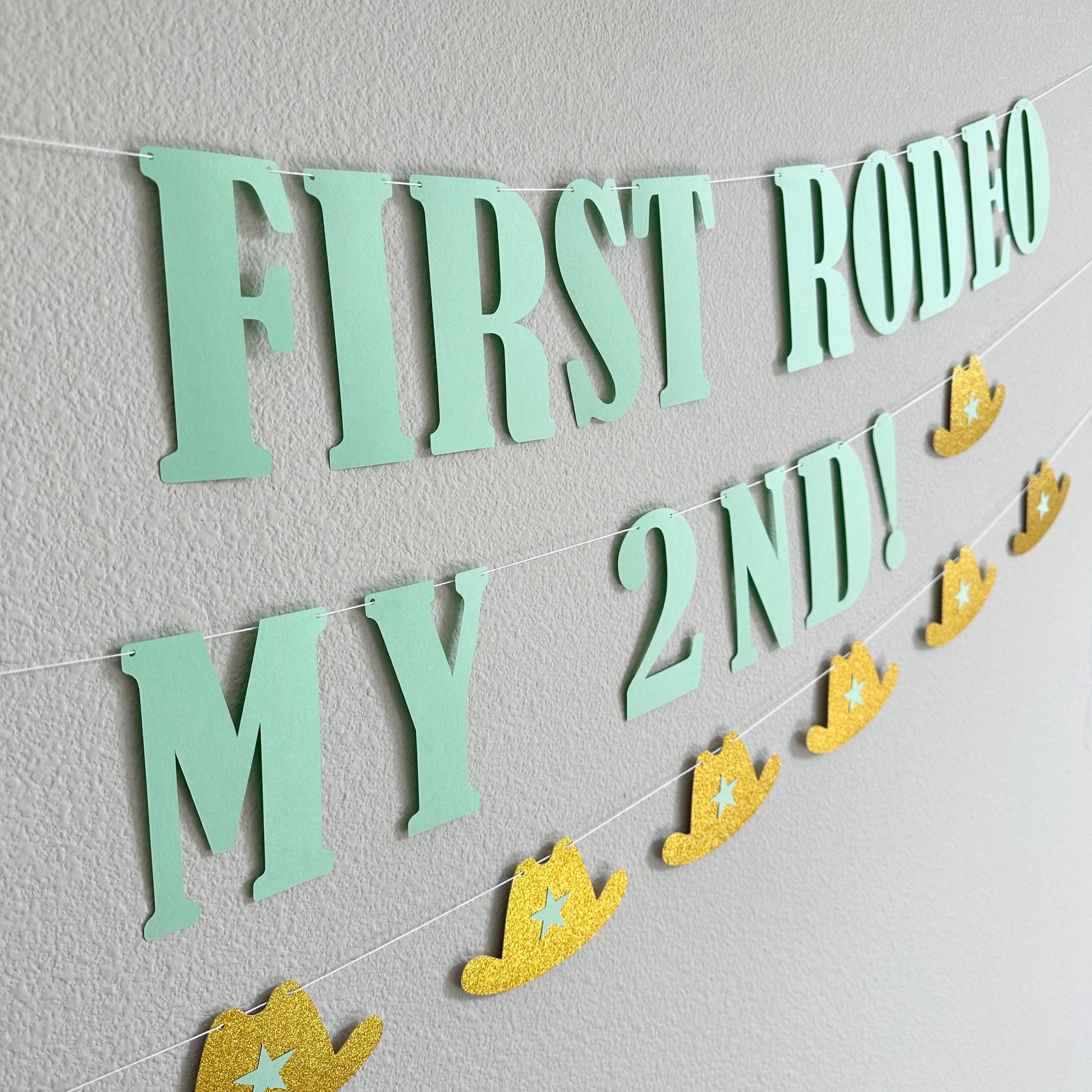 Ain&#39;t My First Rodeo It&#39;s my 2nd, 2nd Birthday Ideas, 2nd Birthday Decorations, Second Birthday Ideas, Second Birthday Decorations