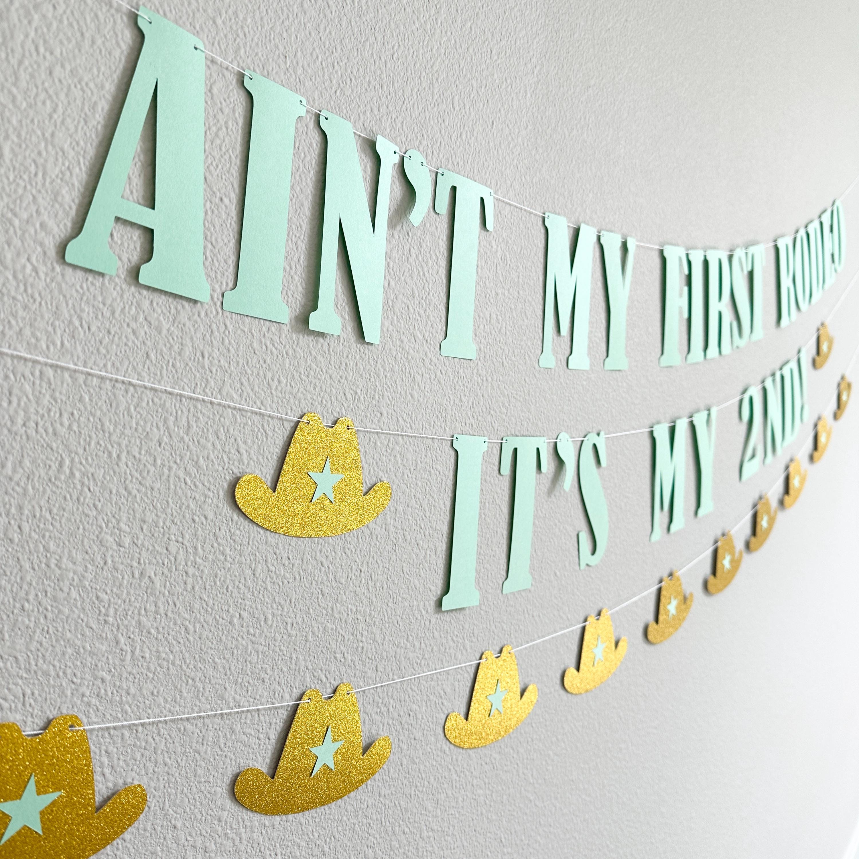 Ain&#39;t My First Rodeo It&#39;s my 2nd, 2nd Birthday Ideas, 2nd Birthday Decorations, Second Birthday Ideas, Second Birthday Decorations