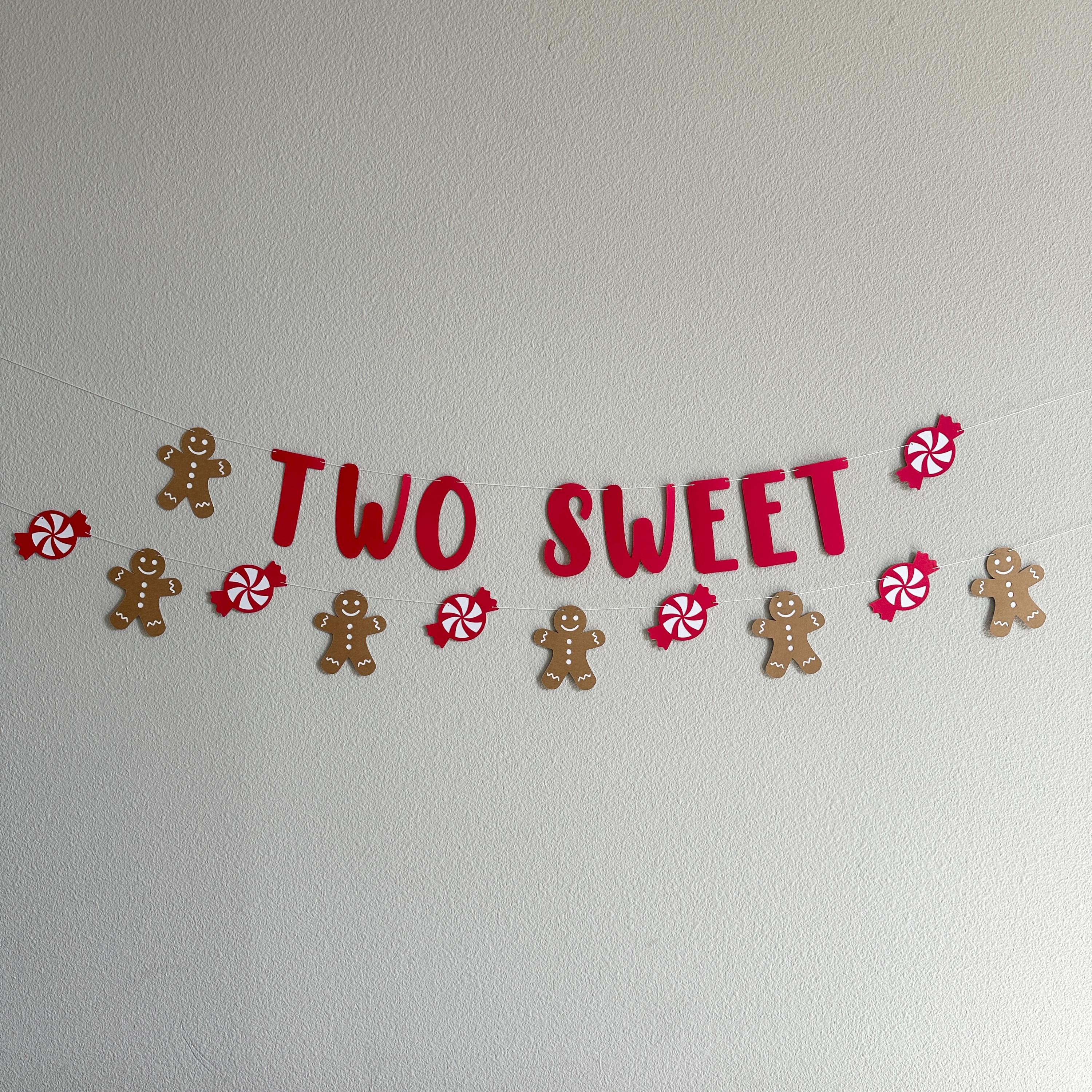 Two Sweet, Two Sweet Banner, Two Sweet Decorations, Christmas 2nd Birthday, Christmas 2nd Birthday Decorations, December 2nd Bithday
