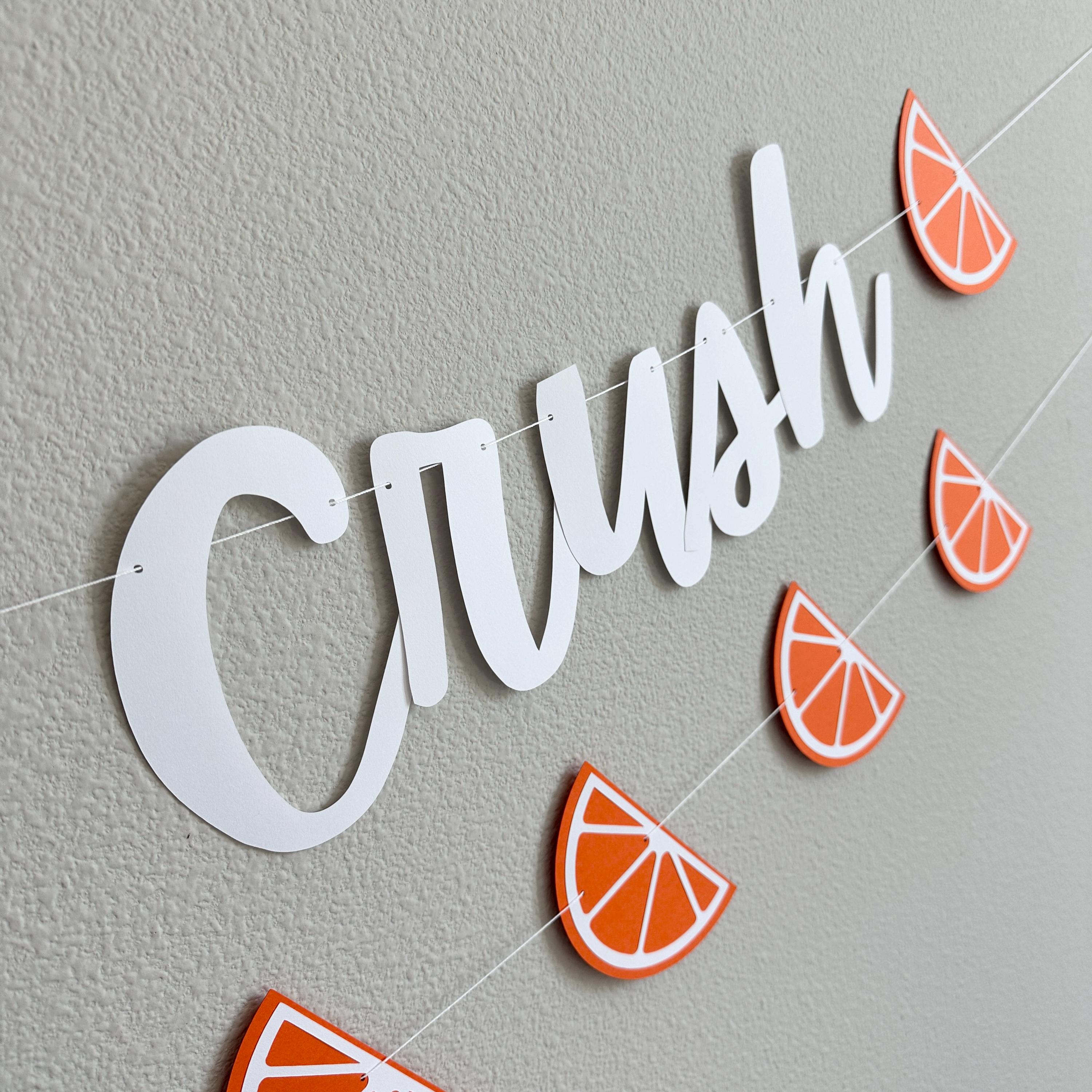 Last Crush Banner, Bachelorette Party Decorations, My Last Crush, Last Crush Themed Bachelorette Party Decorations