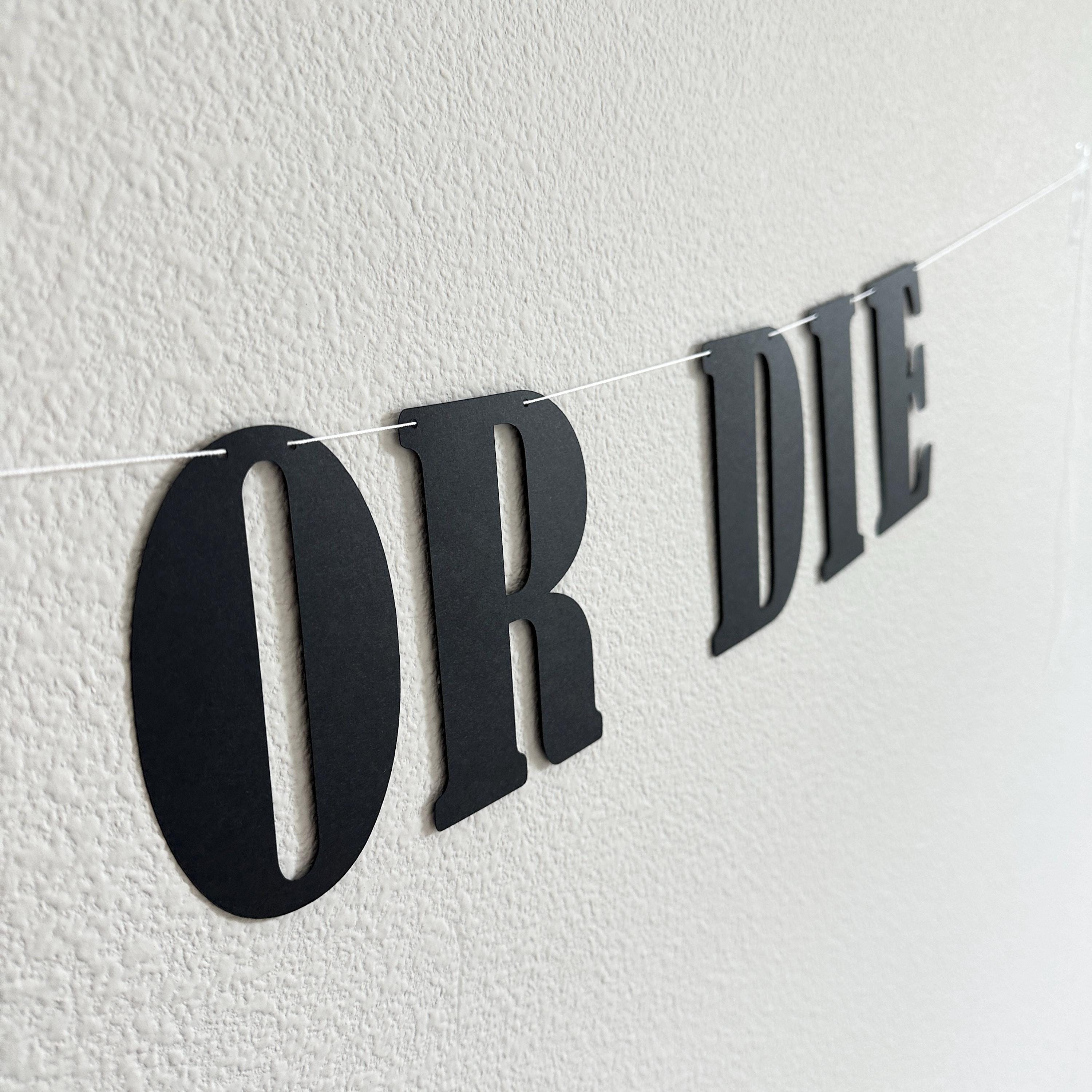 Bride Or Die, Bride Or Die Banner, Bride Or Die Decorations, Halloween Themed Bachelorette Party, October Bridal Shower Ideas