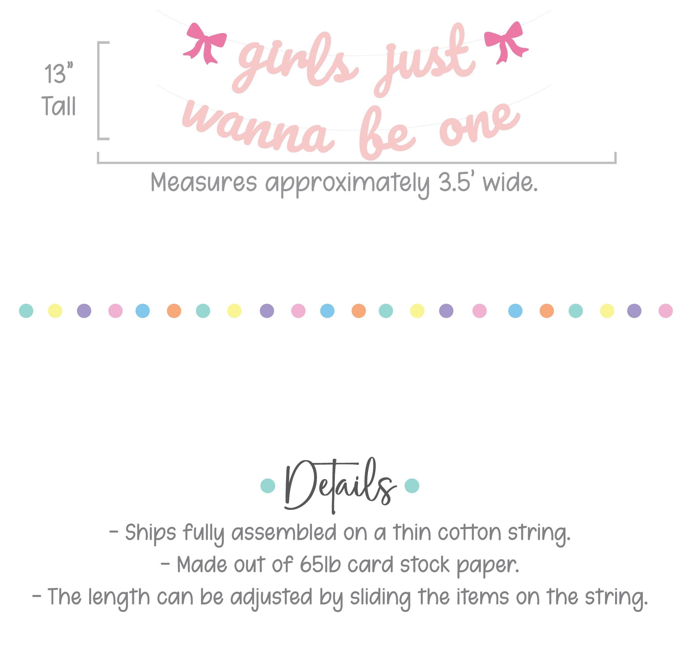 Girls Just Wanna Be One, 1st birthday Party Theme Ideas, Coquette First Birthday Decorations, Bow Themed Banner