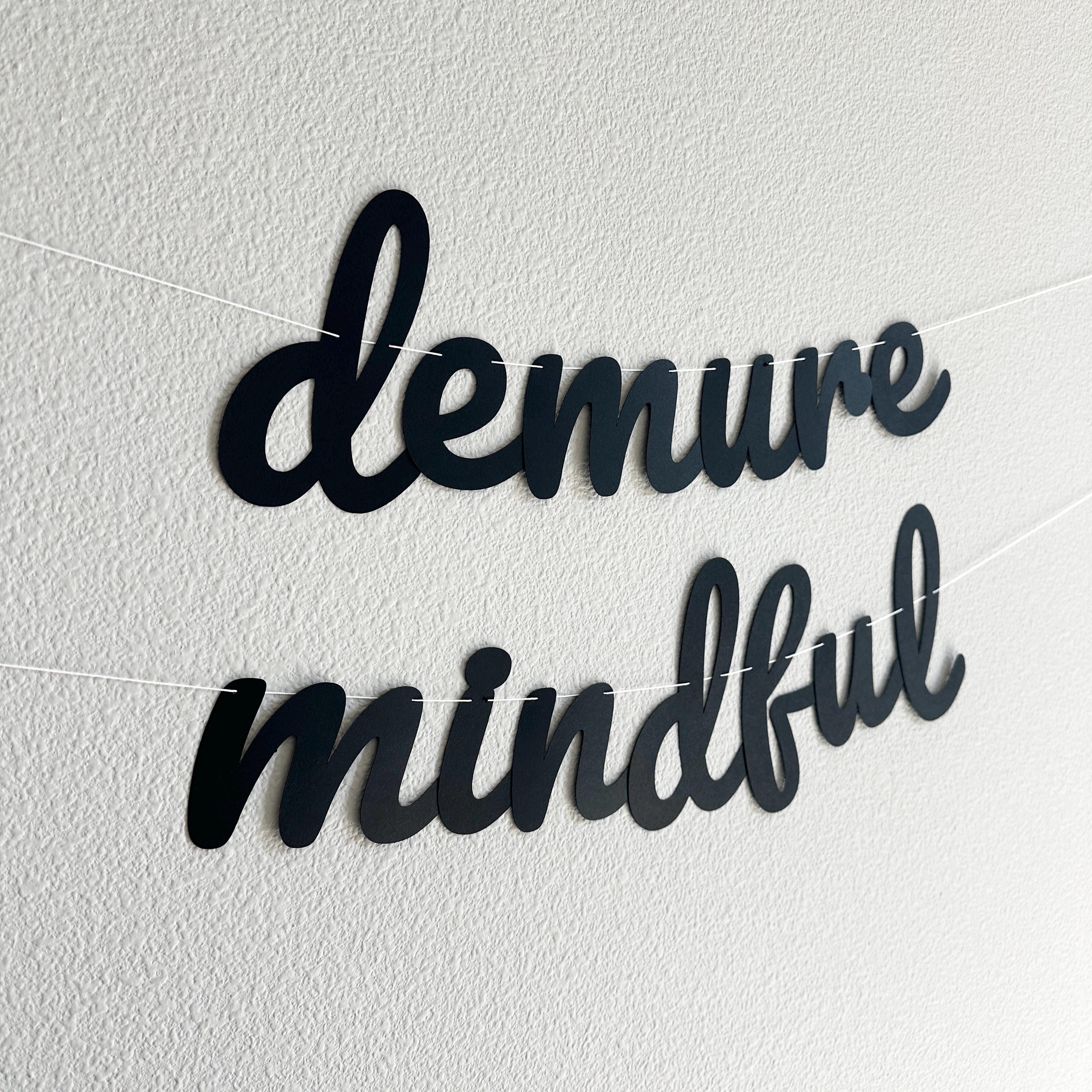 Demure Mindful, Demure Mindful Banner, Demure Mindful Decorations, Demure & Mindful Party Theme Decorations