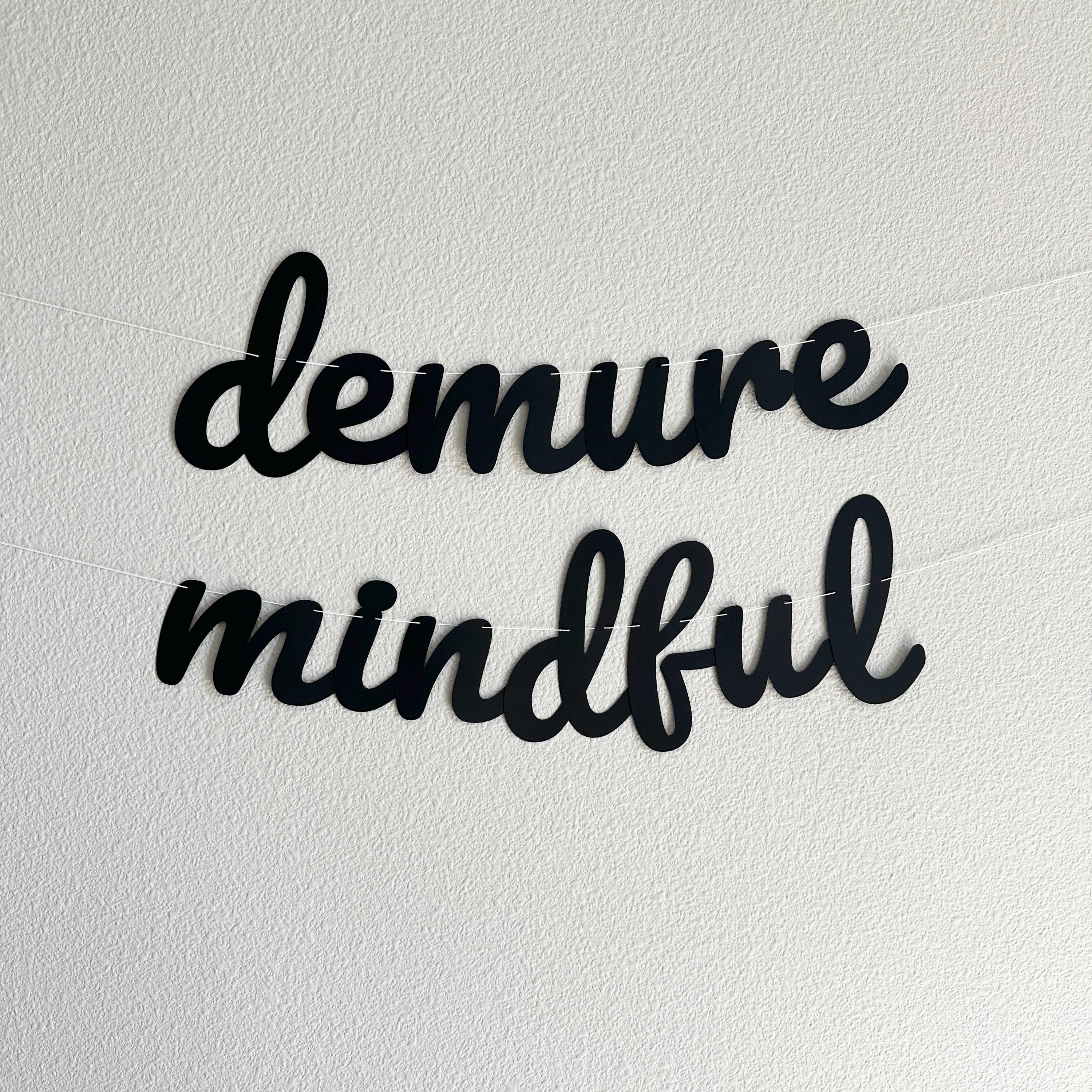 Demure Mindful, Demure Mindful Banner, Demure Mindful Decorations, Demure & Mindful Party Theme Decorations