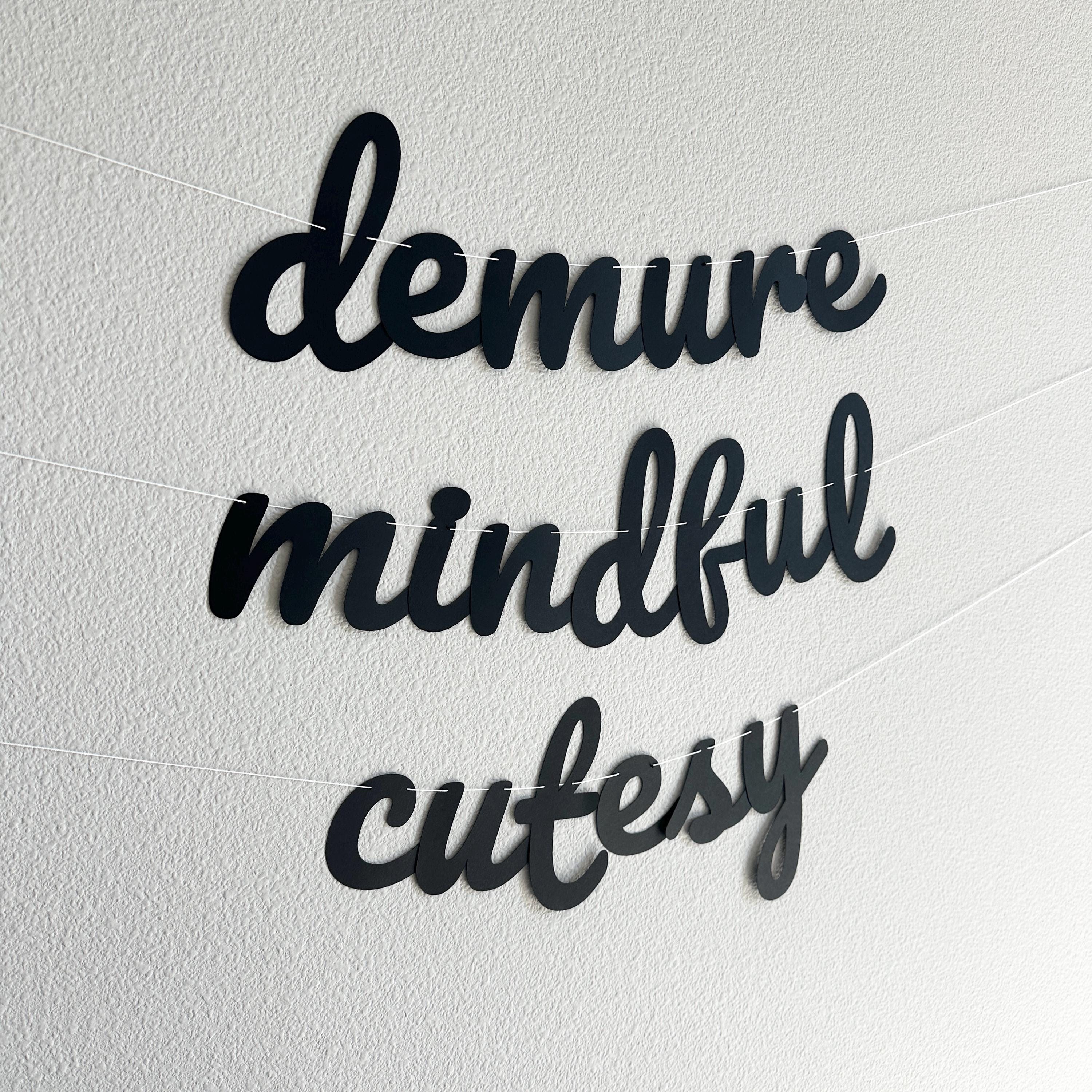 Demure Mindful Cutesy, Demure Mindful Cutesy Banner, Demure Mindful Cutesy Decorations, Demure & Mindful Party Theme Decorations
