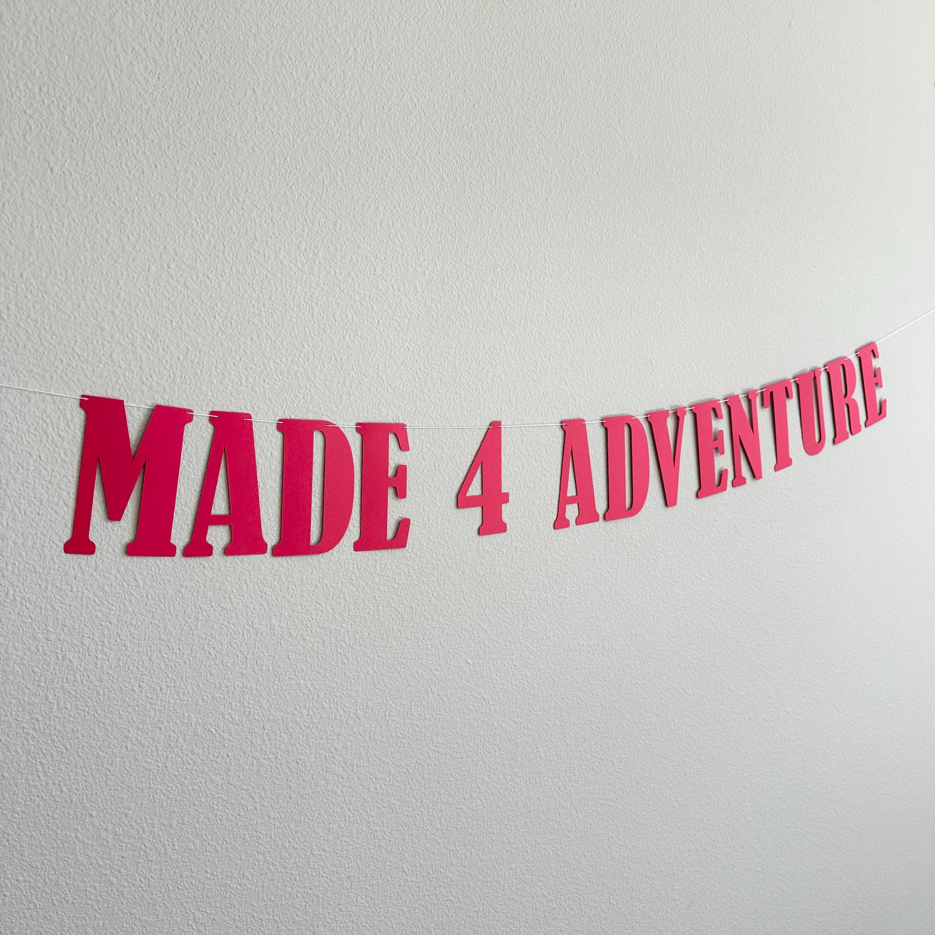 Made 4 Adventure, 4th Birthday Party Decorations, 4th Birthday Celebrations, 4th Birthday Adventure Theme, 4th Birthday Theme Ideas
