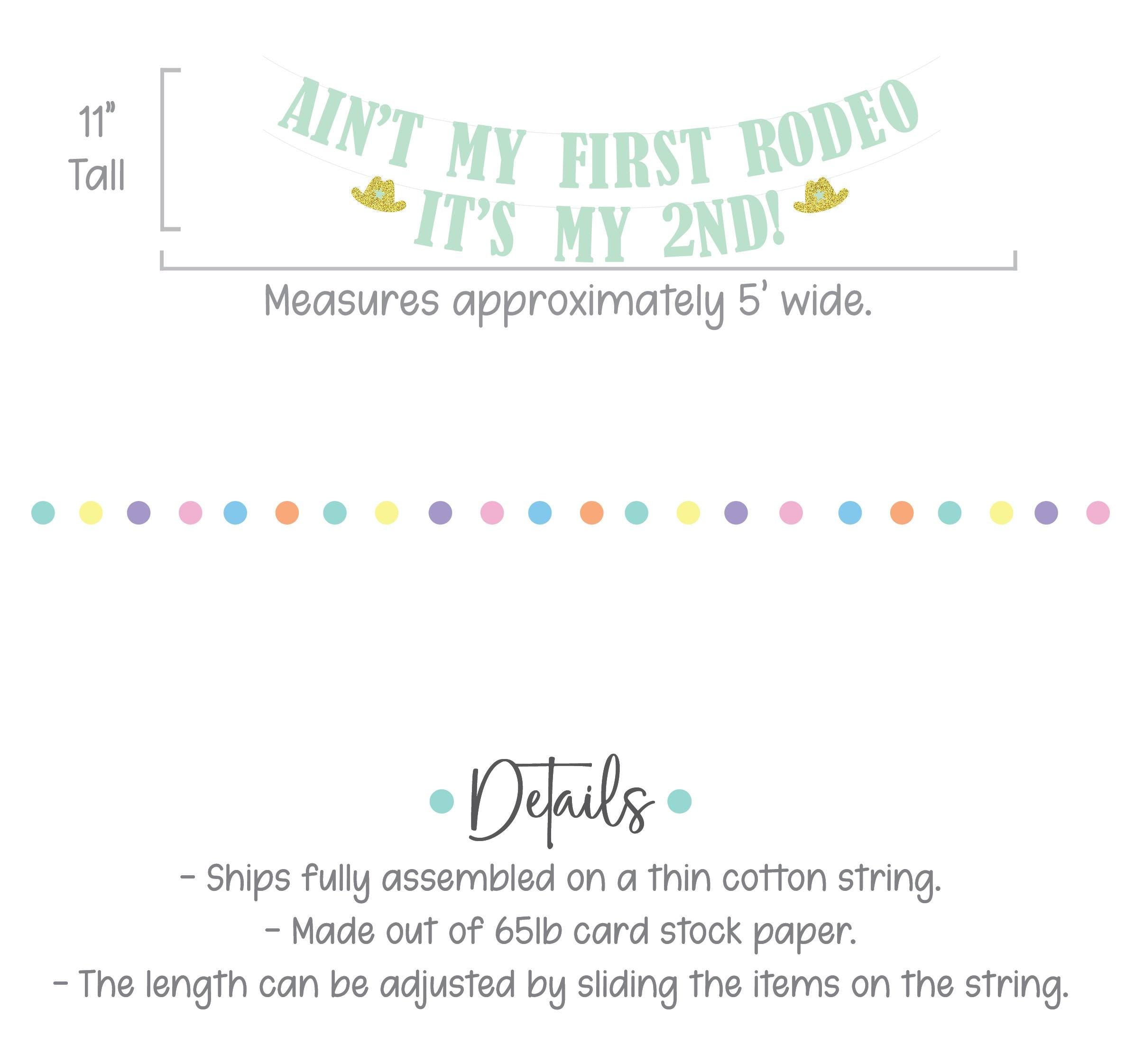 Ain&#39;t My First Rodeo It&#39;s my 2nd, 2nd Birthday Ideas, 2nd Birthday Decorations, Second Birthday Ideas, Second Birthday Decorations