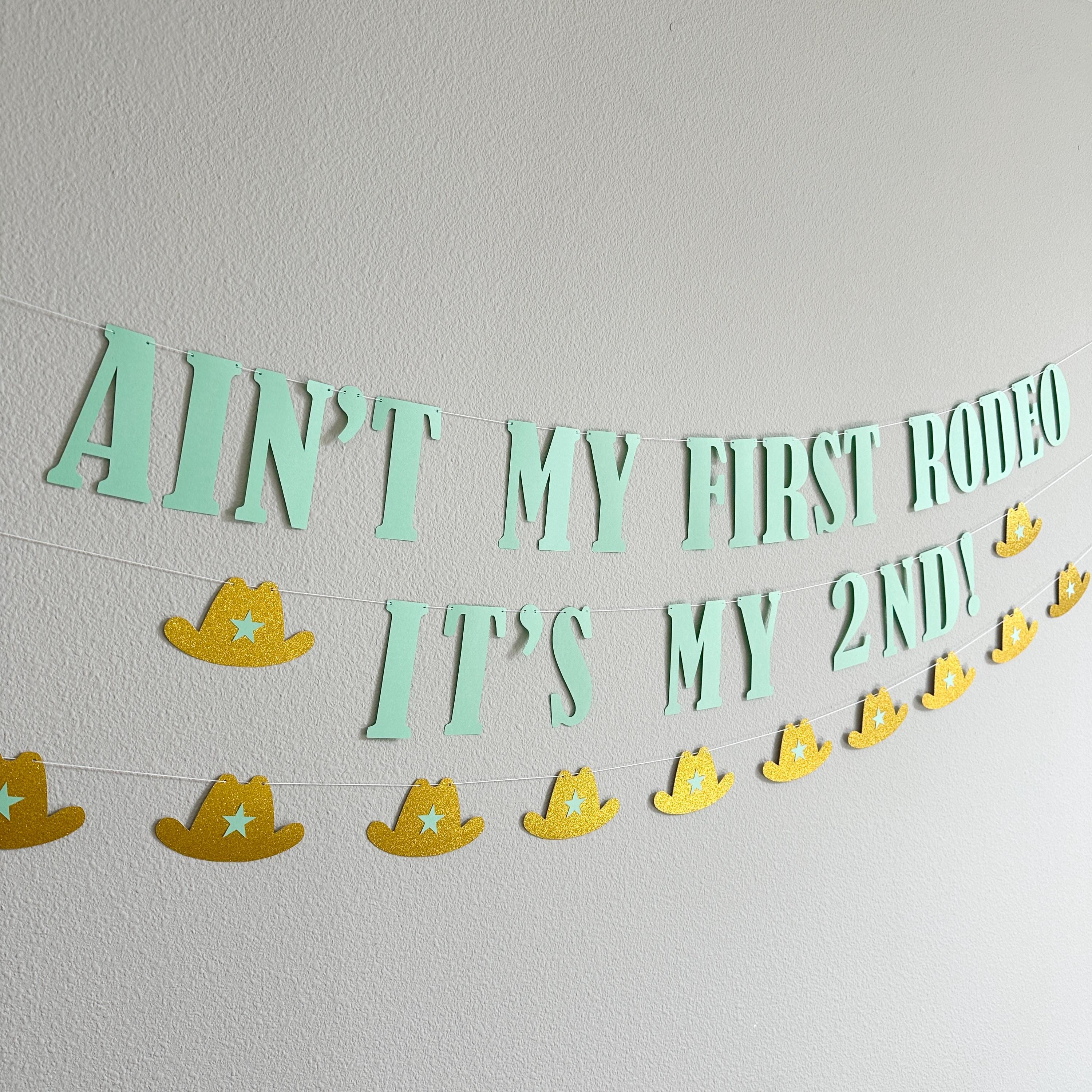 Ain&#39;t My First Rodeo It&#39;s my 2nd, 2nd Birthday Ideas, 2nd Birthday Decorations, Second Birthday Ideas, Second Birthday Decorations