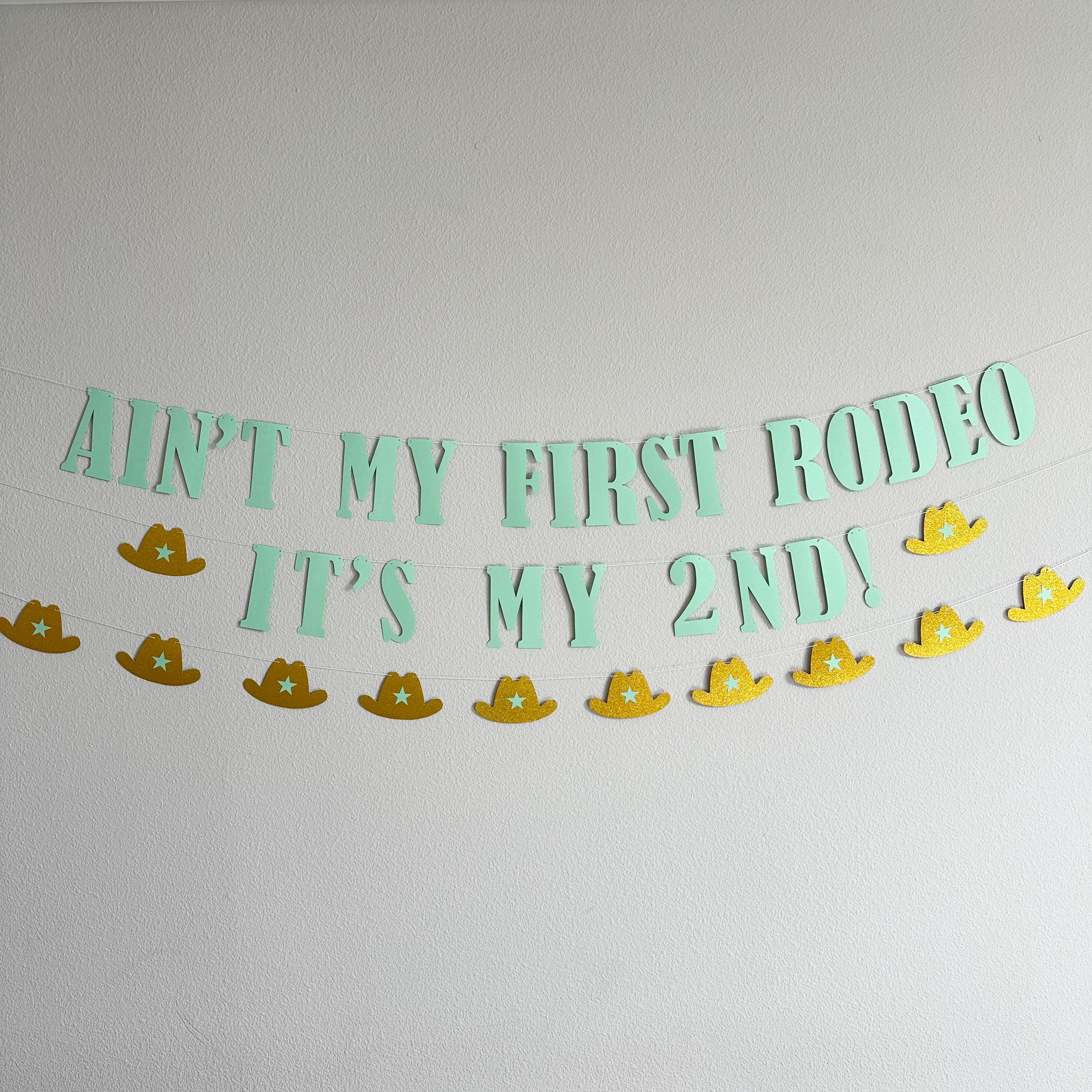 Ain&#39;t My First Rodeo It&#39;s my 2nd, 2nd Birthday Ideas, 2nd Birthday Decorations, Second Birthday Ideas, Second Birthday Decorations