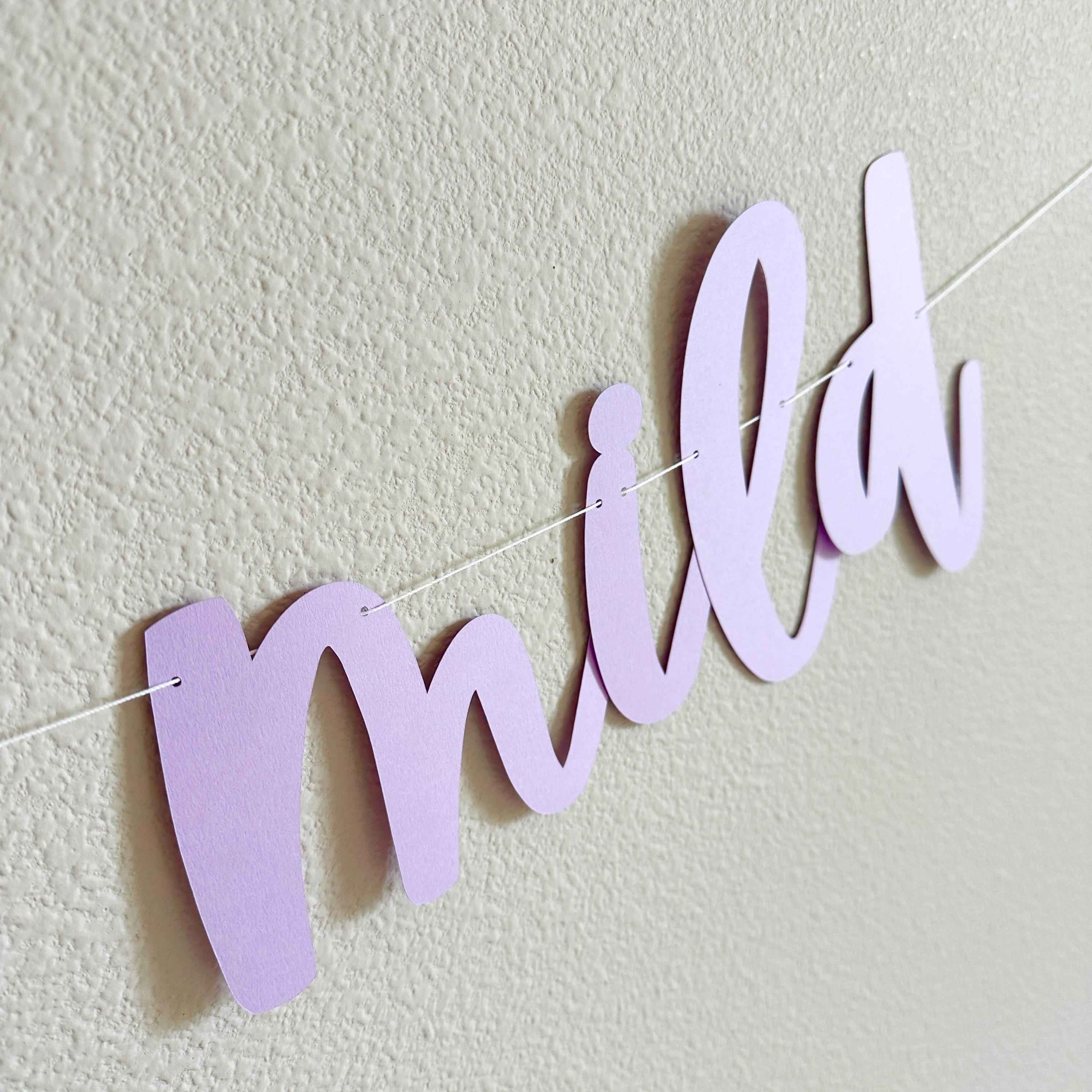 Girls Gone Mild, Girls Gone Mild Decorations, Girls Gone Mild Banner, Bachelorette Ideas, Girls Weekend Decorations, Girls Night