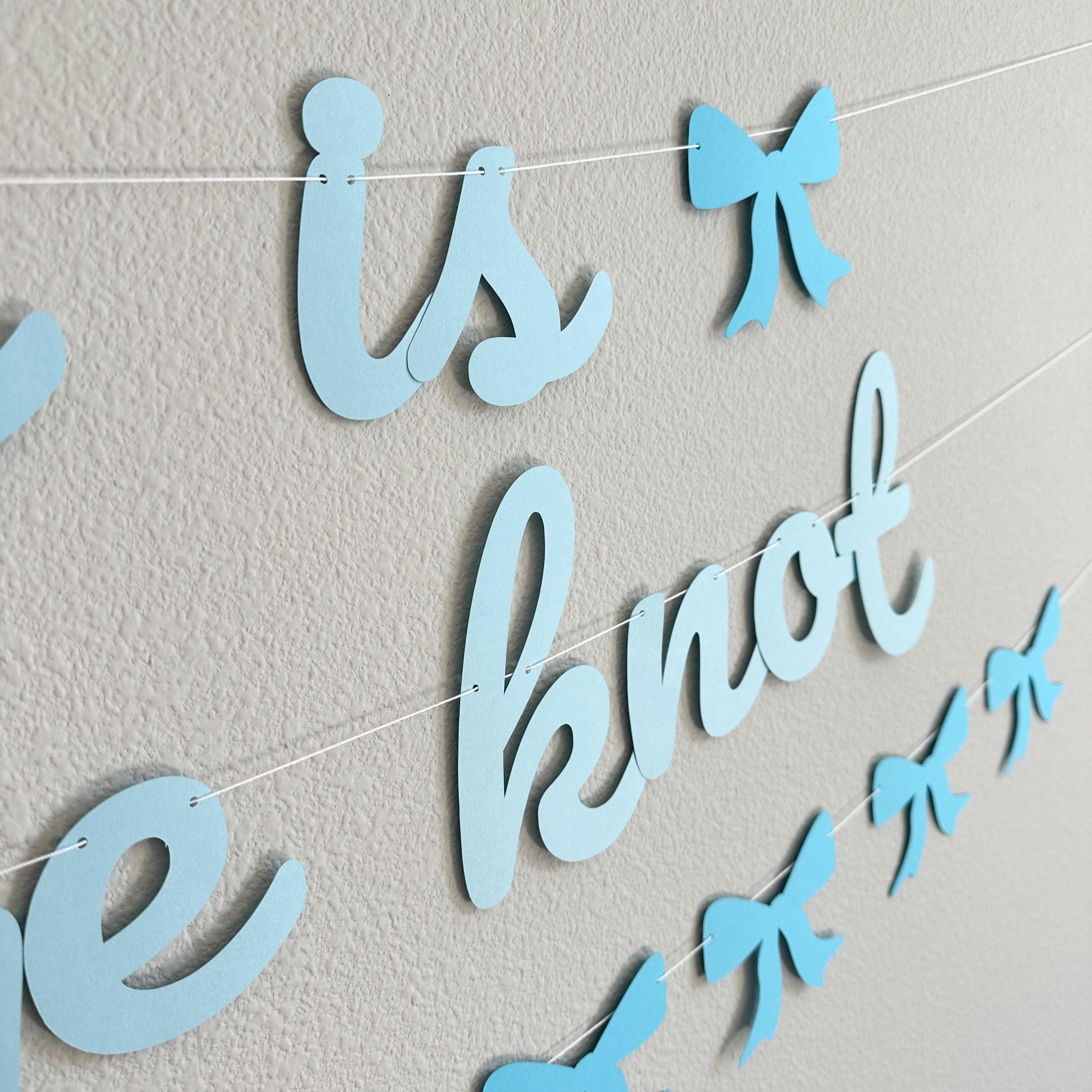 Name Is Tying The Knot Banner, Coquette Bachelorette, Coquette Bridal Shower, Bachelorette Ideas, Tying The Knot