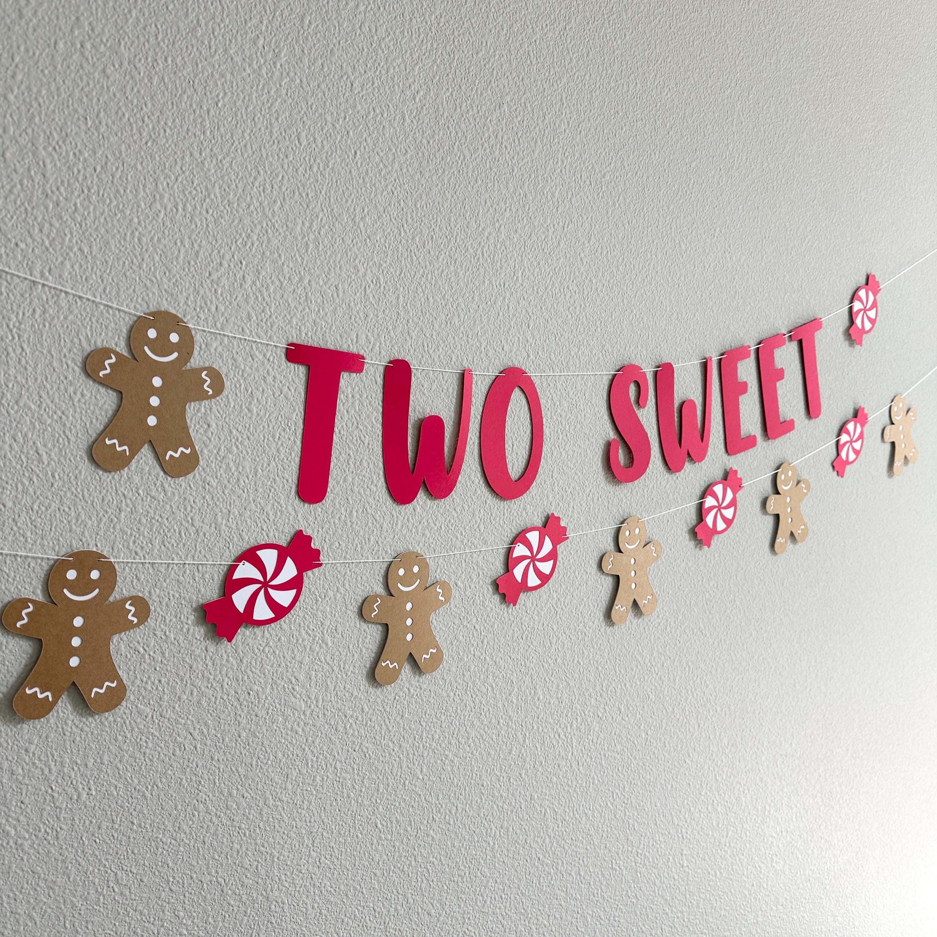 Two Sweet, Two Sweet Banner, Two Sweet Decorations, Christmas 2nd Birthday, Christmas 2nd Birthday Decorations, December 2nd Bithday