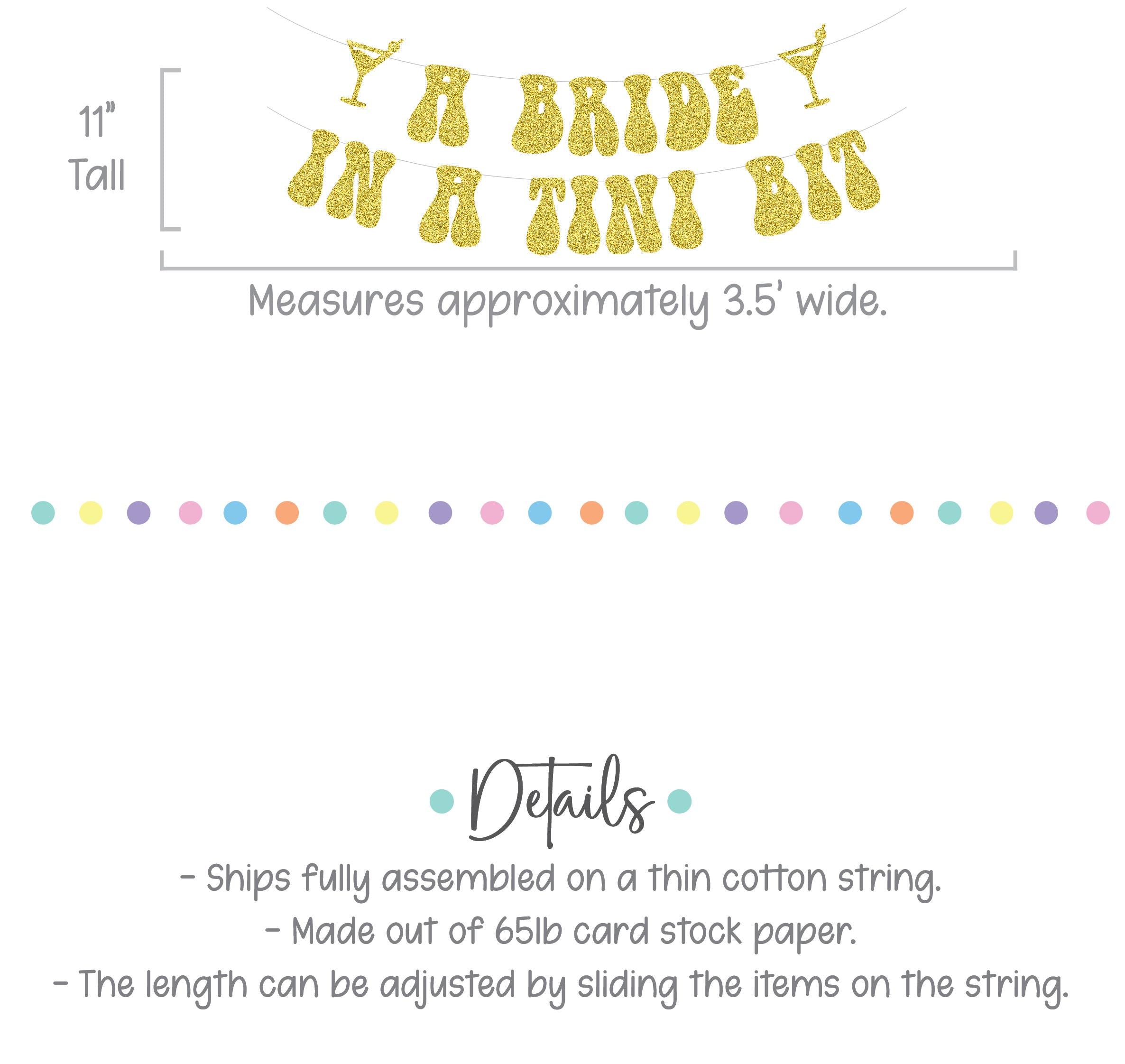 A Bride In A Tini Bit, Espresso Martini Themed Bachelorette Party Banner, A Bride In A Tini Bit Banner, Espresso Martini Bride