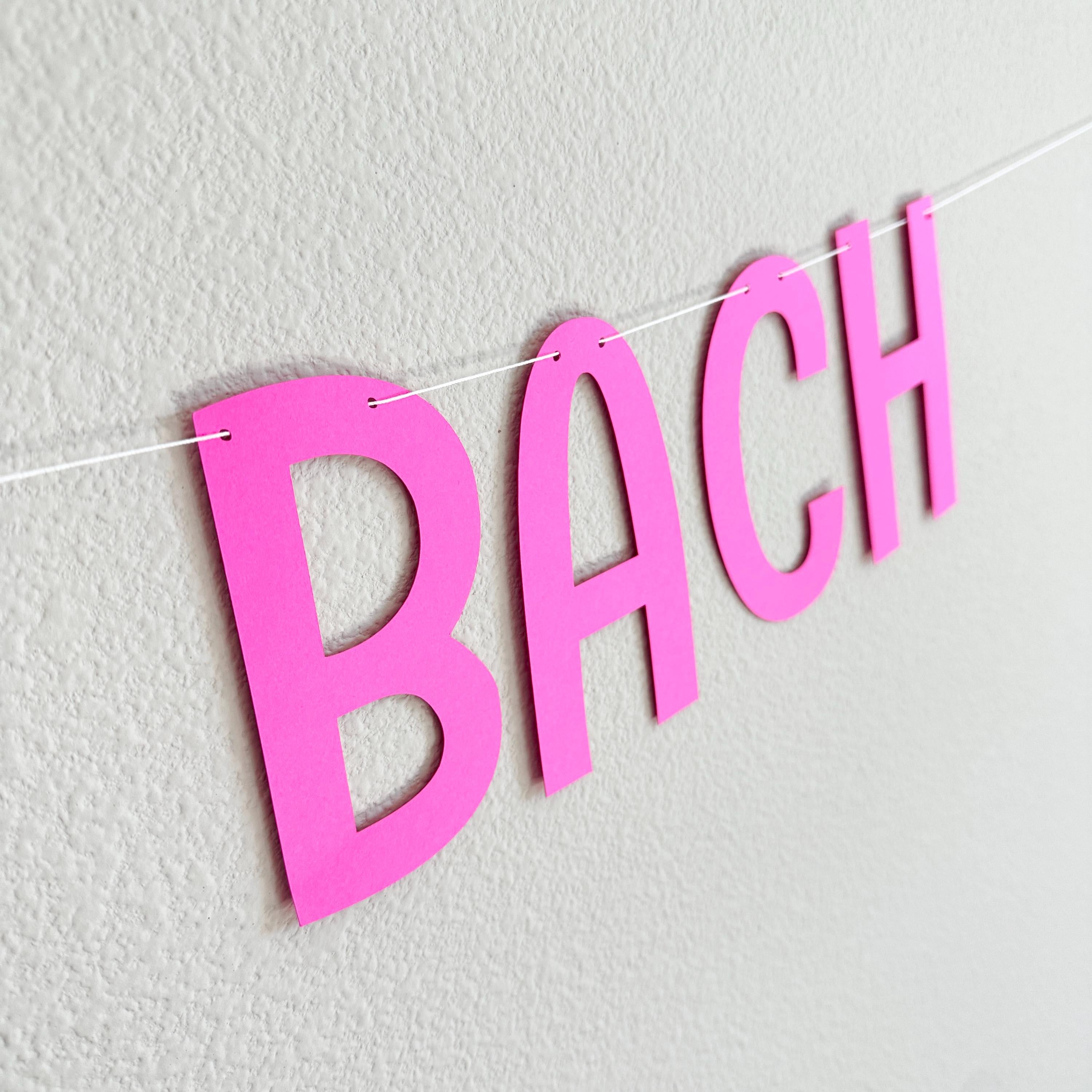 Bruh It&#39;s My Bach, Bruh It&#39;s My Bach Decorations, Bruh It&#39;s My Bach Banner, Bruh Bachelorette Party, bachelorette Party Theme Ideas
