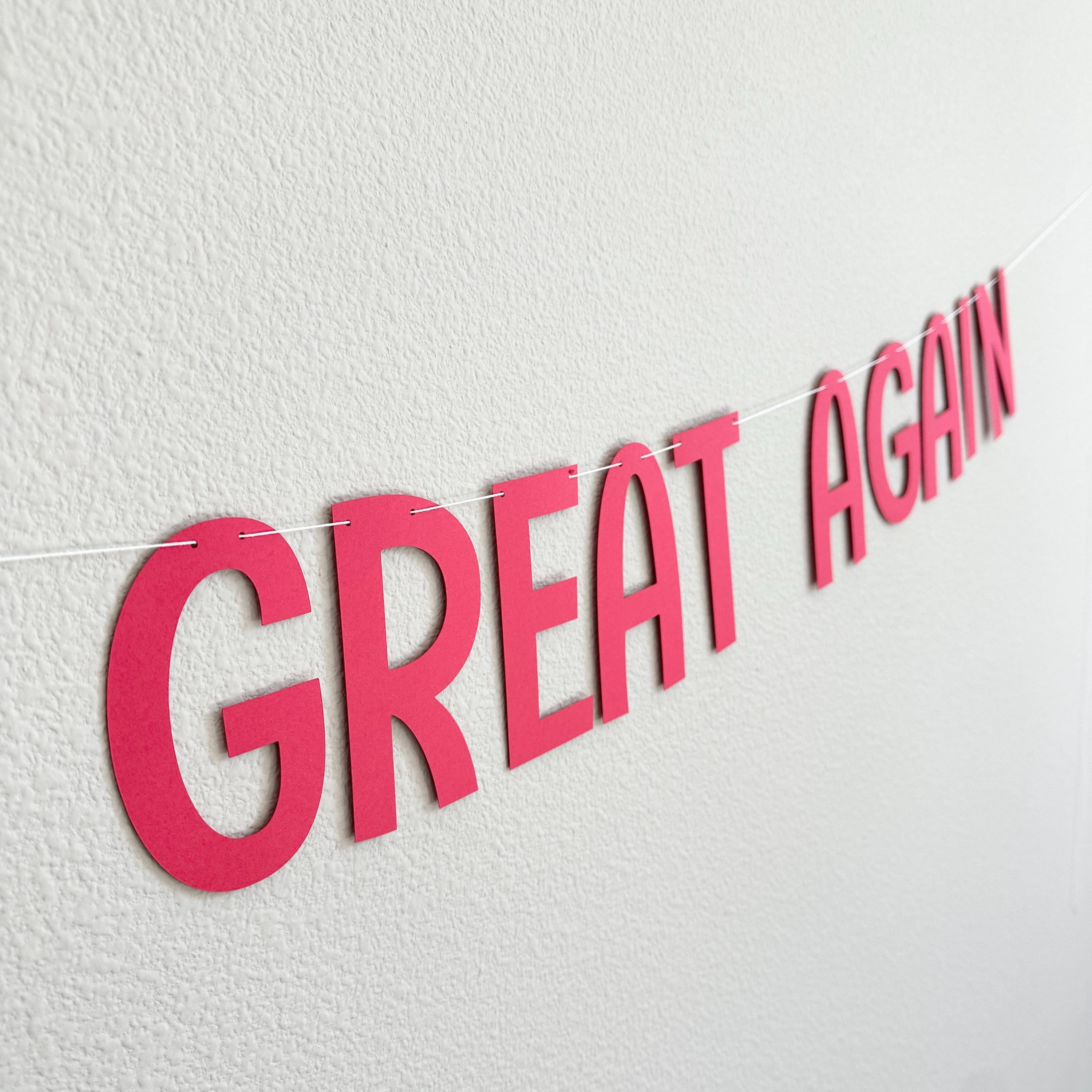 Make 2 Great Again, 2nd Birthday Decorations, Second Birthday Party Theme Ideas, Make Birthdays Great Again Banner, 2nd Birthday Backdrop