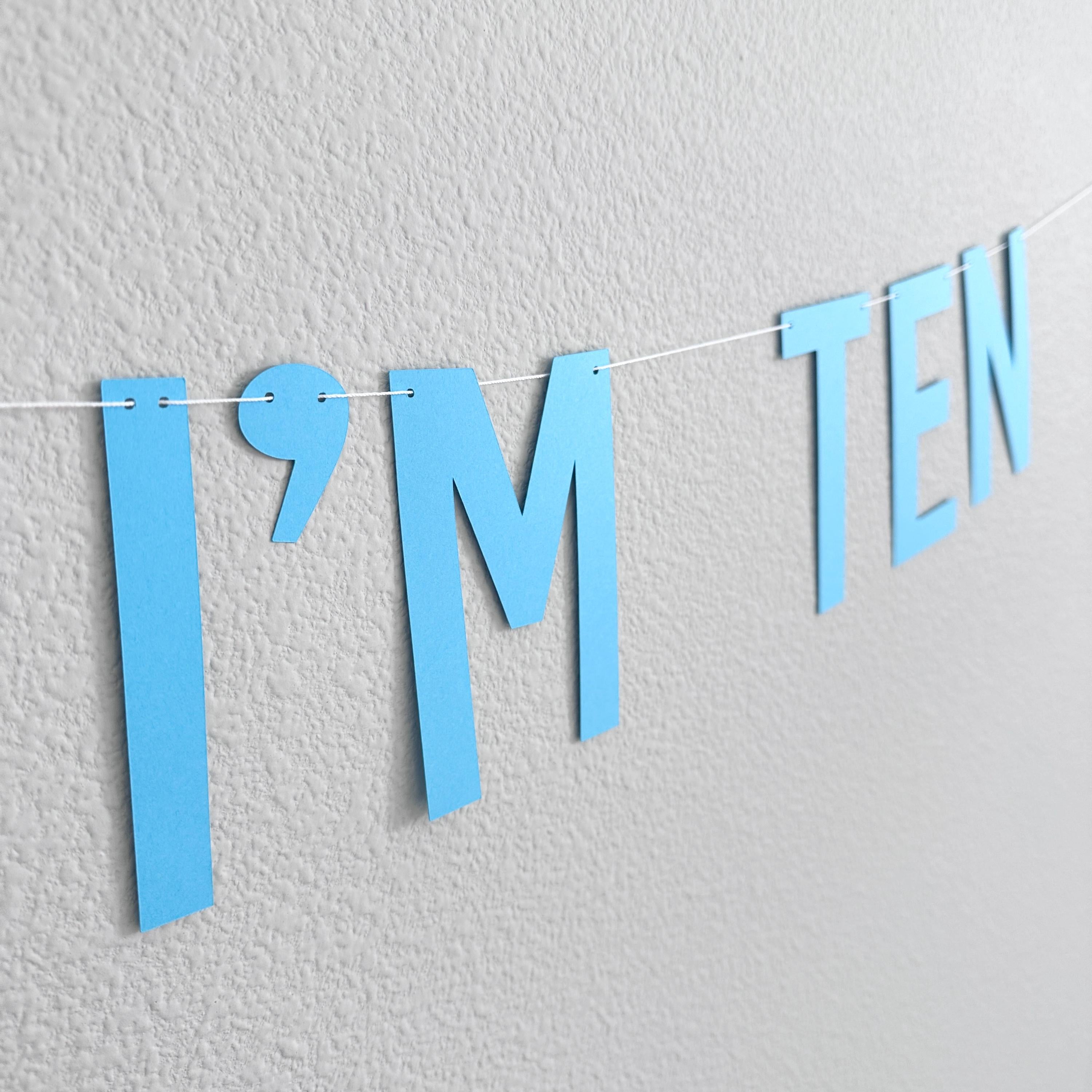 Bruh I&#39;m Ten, 10th Birthday Banner, Tenth Birthday Decorations, Bruh I&#39;m Ten Banner, 10th Birthday Ideas, Boys 10th Birthday, Blue 10th