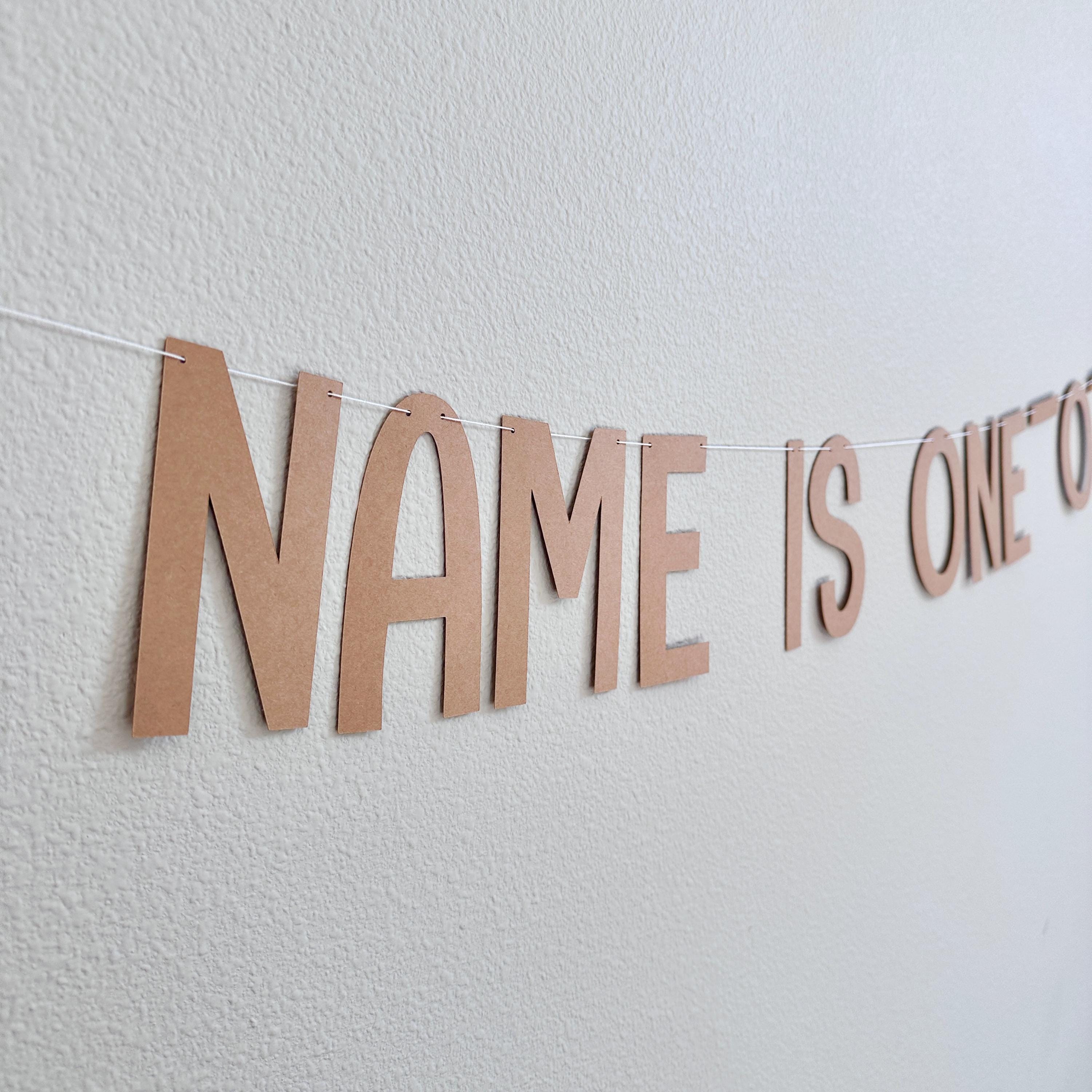 One-o-saurus Banner, Name Is One-O-Saurus Decorations, First Birthday Dinosaur Theme Banner, 1st Birthday Theme Ideas