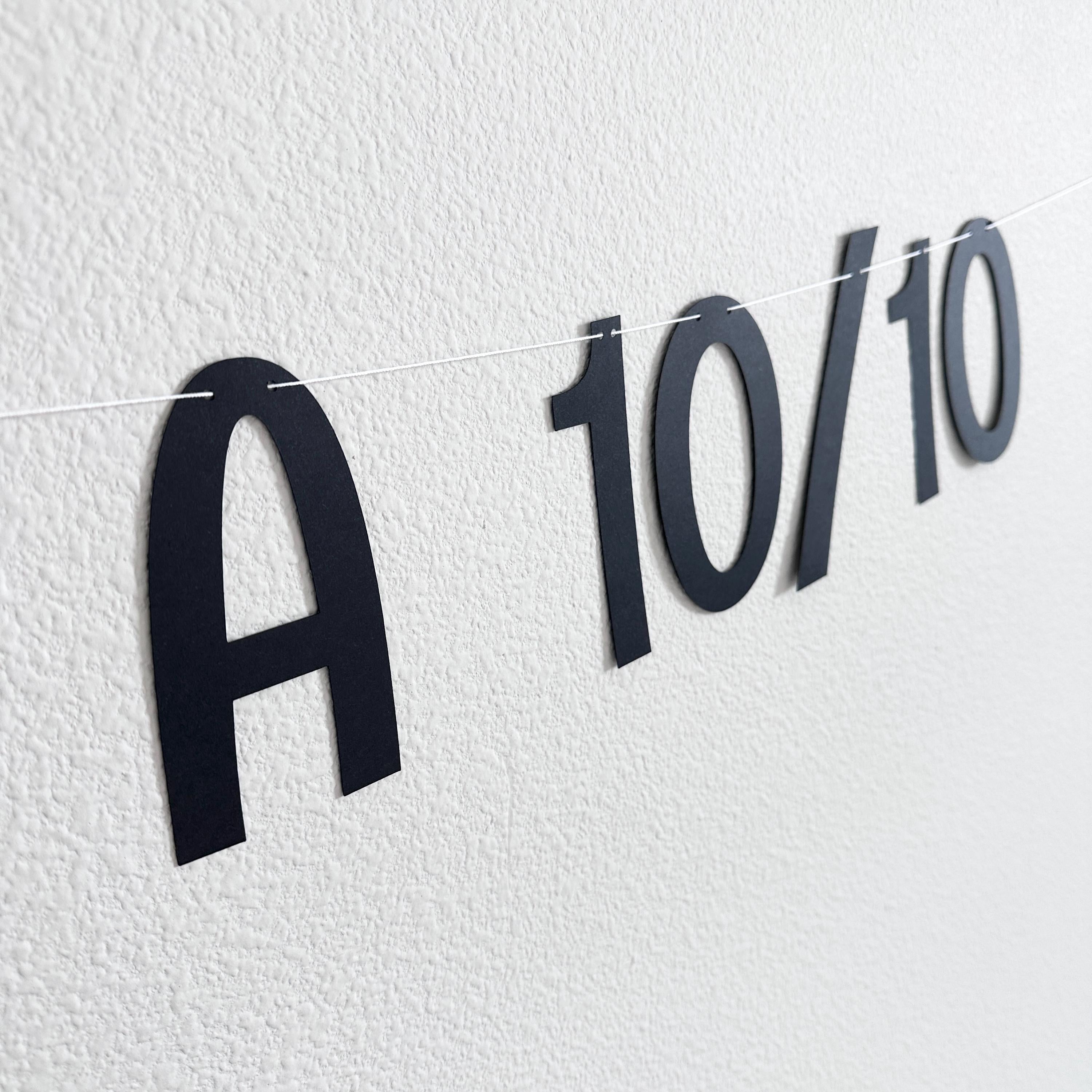 You&#39;re a 10/10, You&#39;re a 10/10 Banner, Fun and Trendy Party Decor, Perfect for Valentine&#39;s Day Birthdays or Celebrations