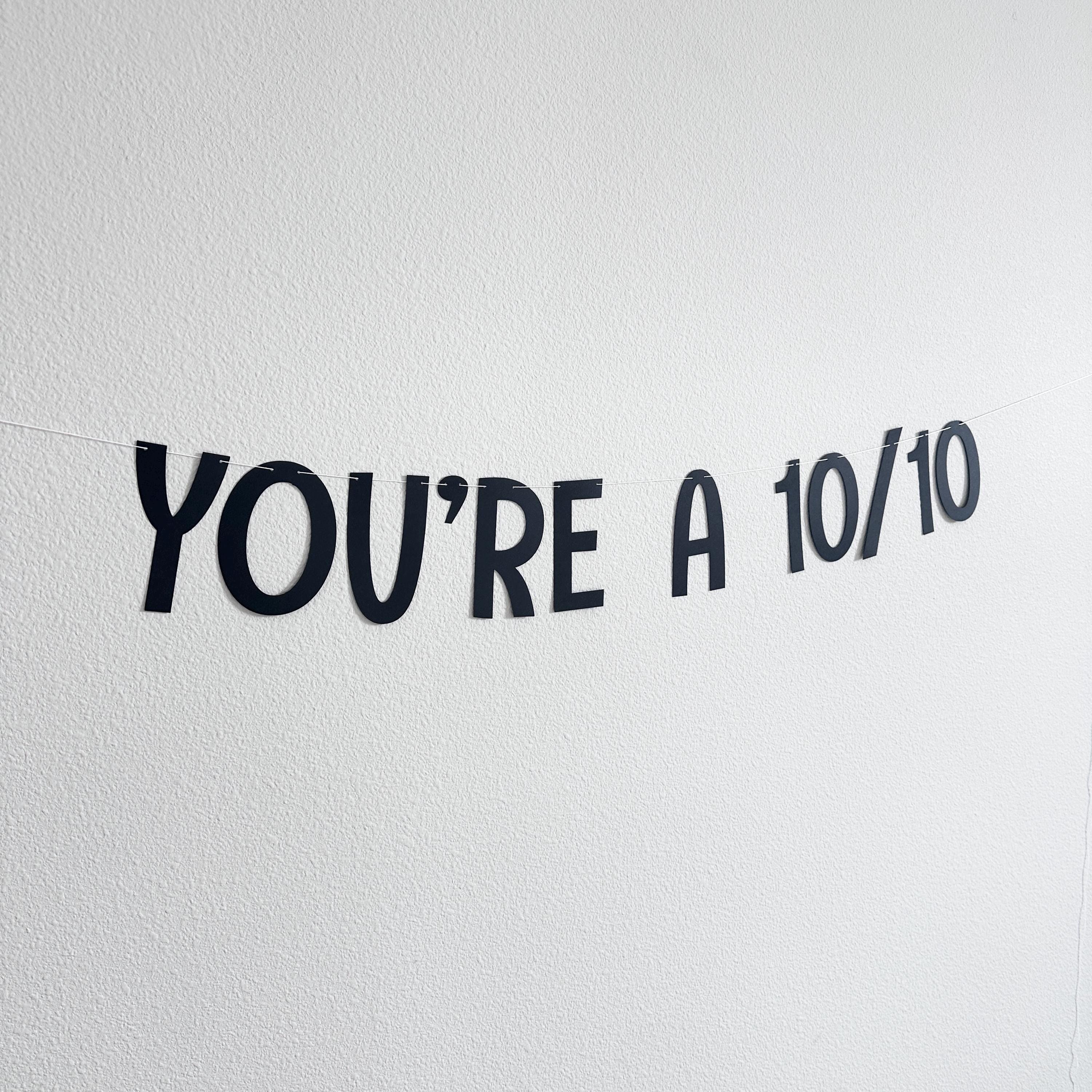 You&#39;re a 10/10, You&#39;re a 10/10 Banner, Fun and Trendy Party Decor, Perfect for Valentine&#39;s Day Birthdays or Celebrations