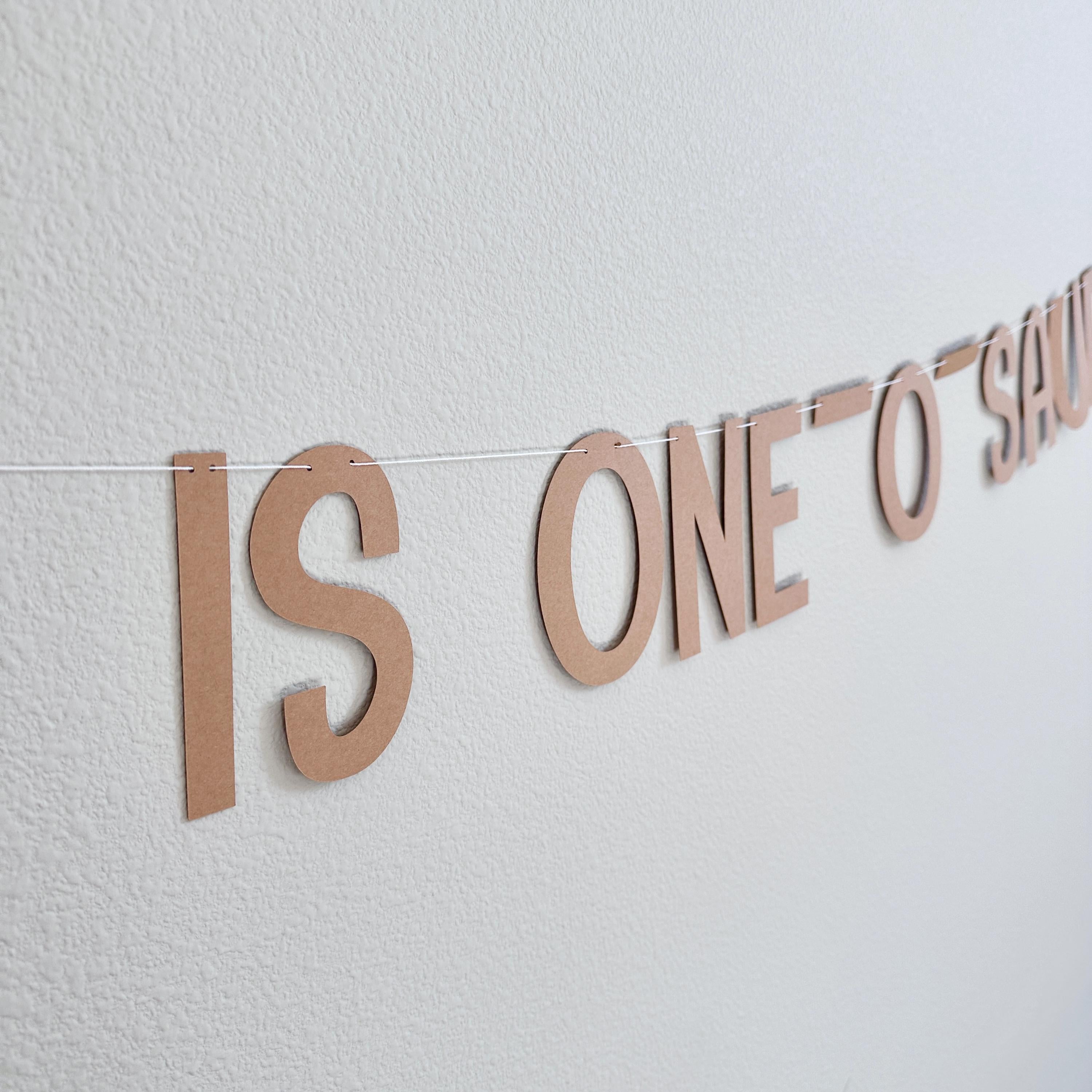 One-o-saurus Banner, Name Is One-O-Saurus Decorations, First Birthday Dinosaur Theme Banner, 1st Birthday Theme Ideas