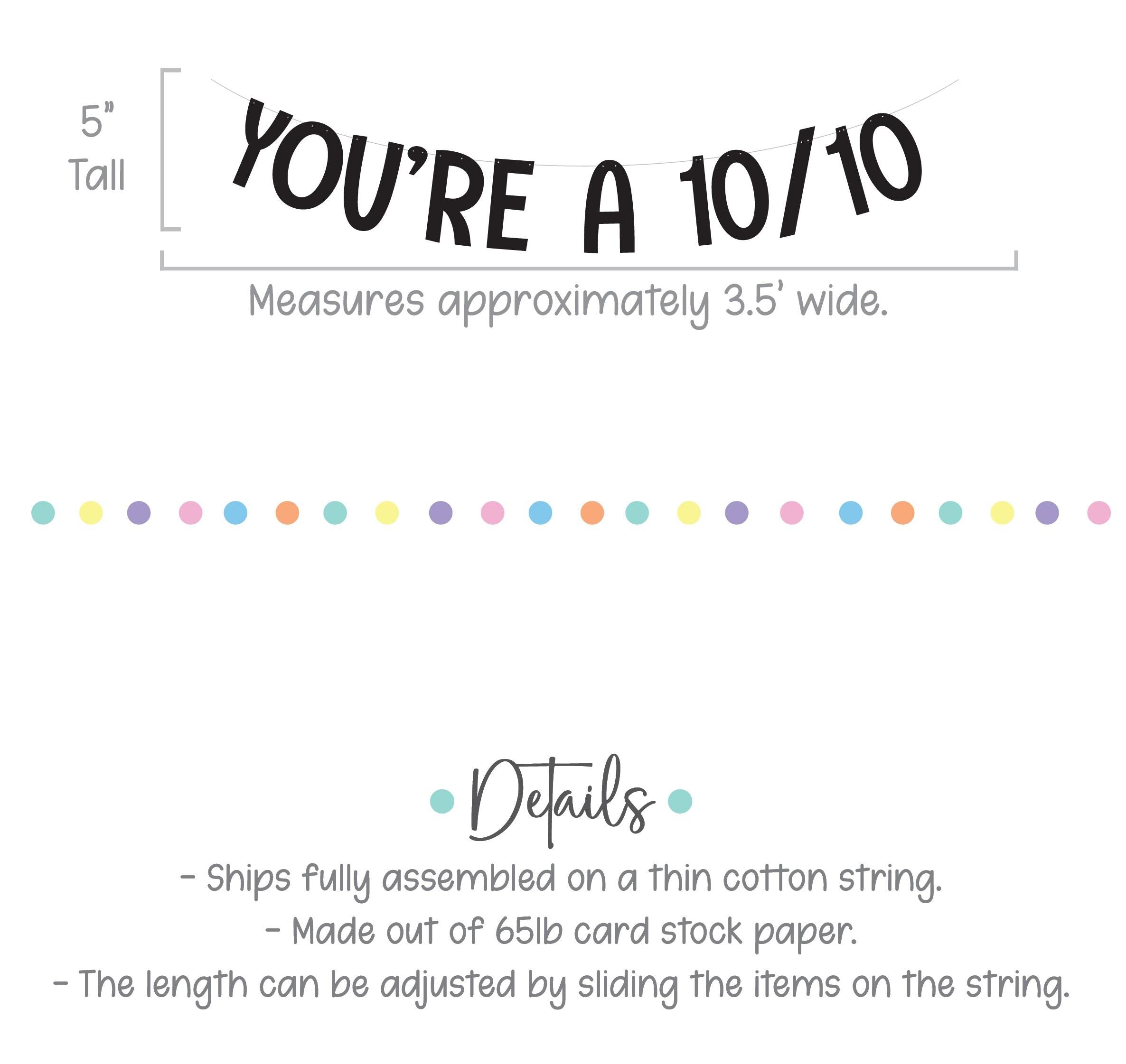 You&#39;re a 10/10, You&#39;re a 10/10 Banner, Fun and Trendy Party Decor, Perfect for Valentine&#39;s Day Birthdays or Celebrations