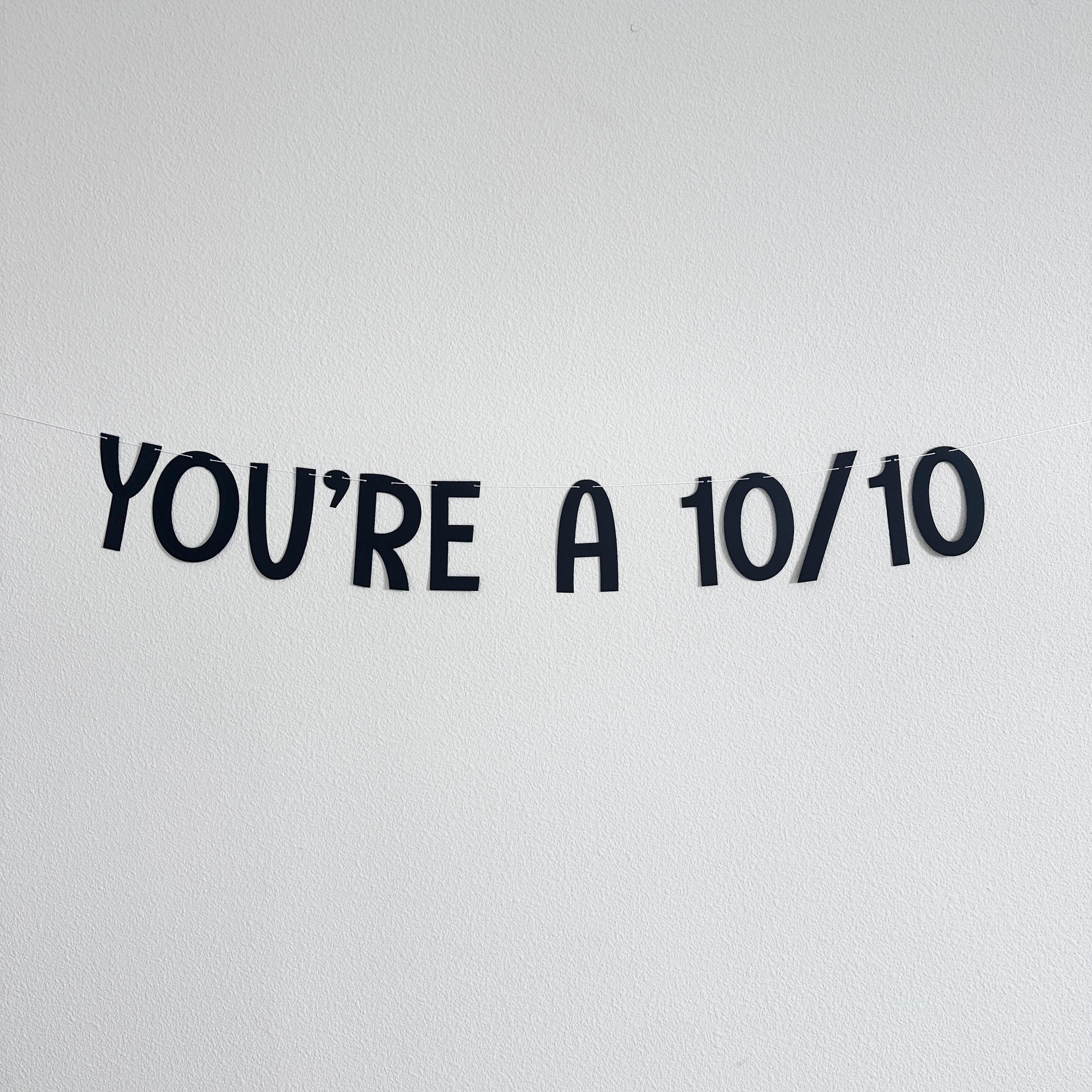 You&#39;re a 10/10, You&#39;re a 10/10 Banner, Fun and Trendy Party Decor, Perfect for Valentine&#39;s Day Birthdays or Celebrations