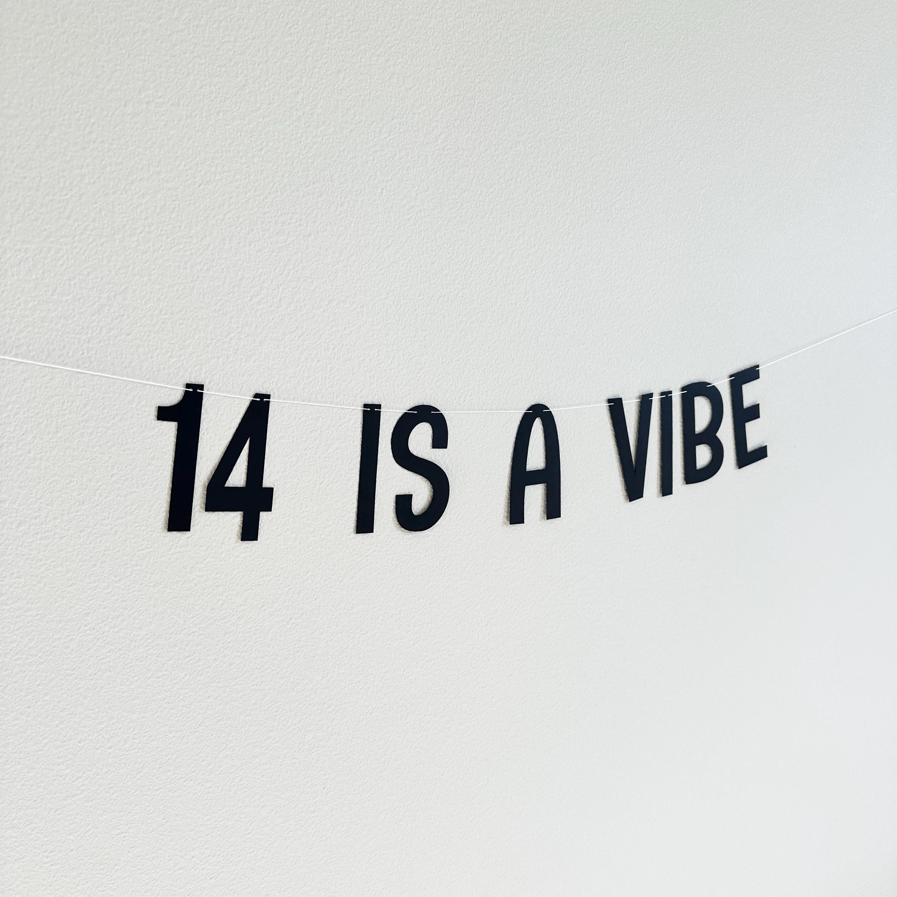 14 Is A Vibe, 14th Birthday Banner, 14th Birthday Party Ideas, Fourteen, Fourteenth Birthday Decorations