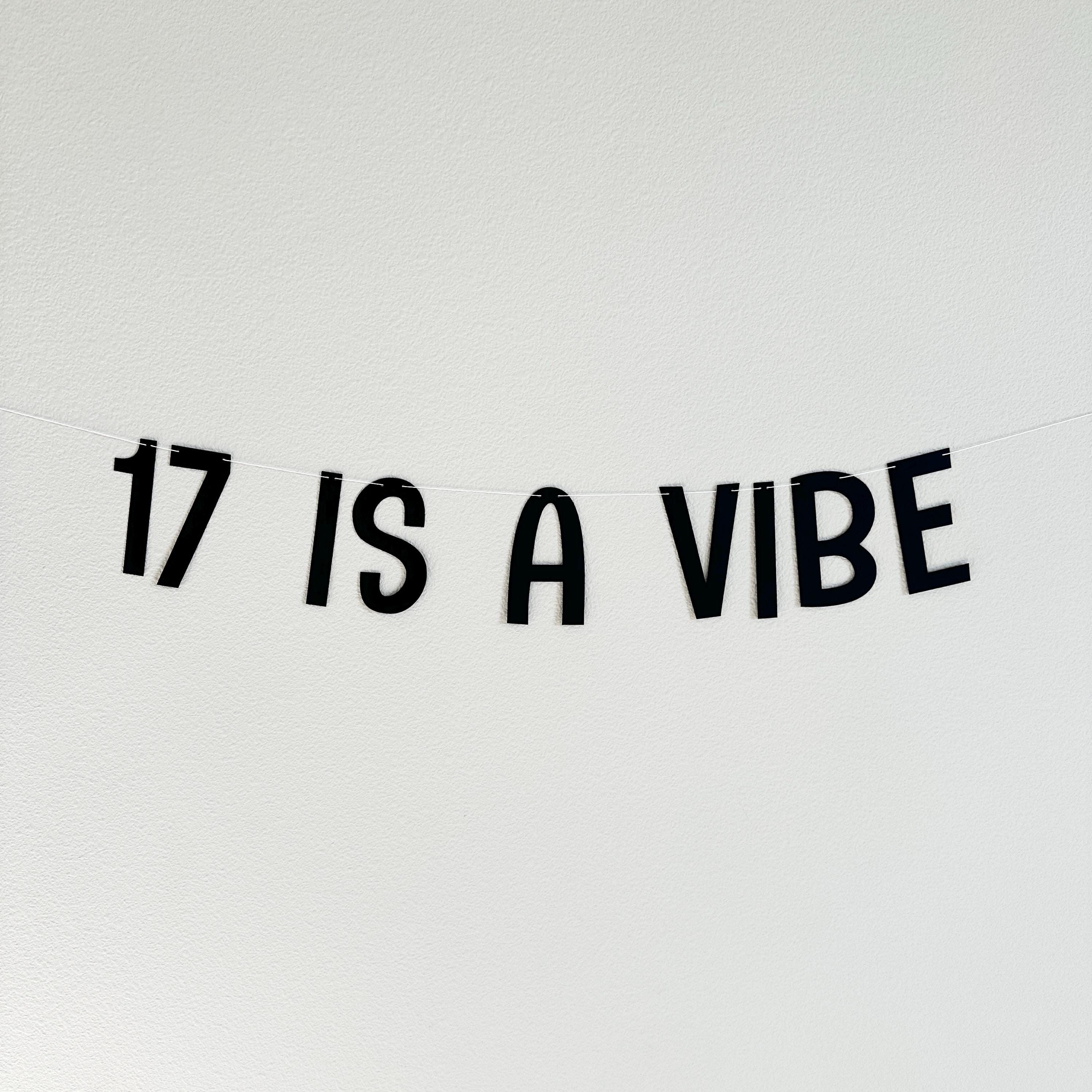 17 Is A Vibe, 17th Birthday Banner, 17th Birthday Party Ideas, Seventeenth, Seventeenth Birthday Decorations