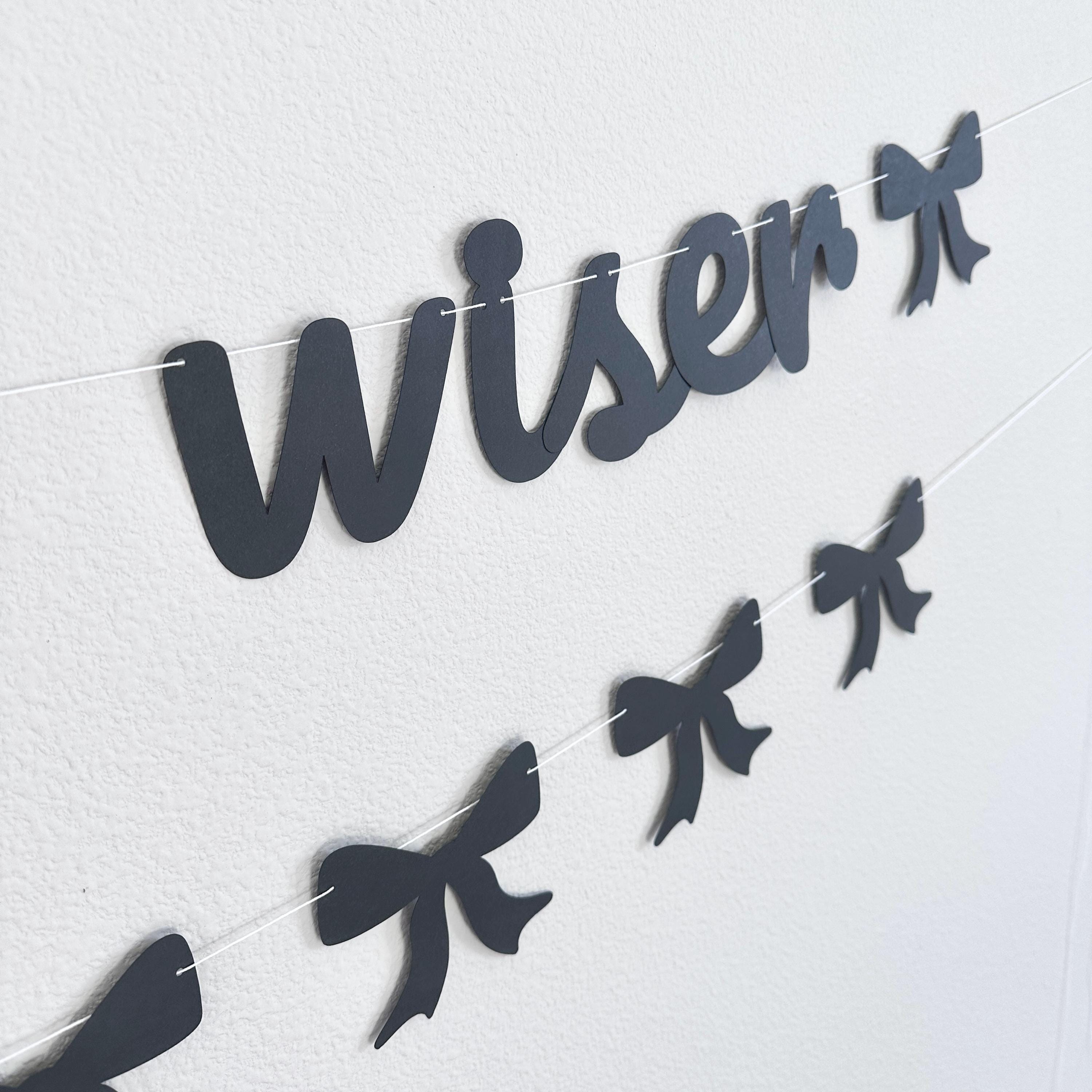 Older Hotter Wiser, Women&#39;s Birthday Ideas, Funny Birthday Banner, Grandma Birthday Party Decorations