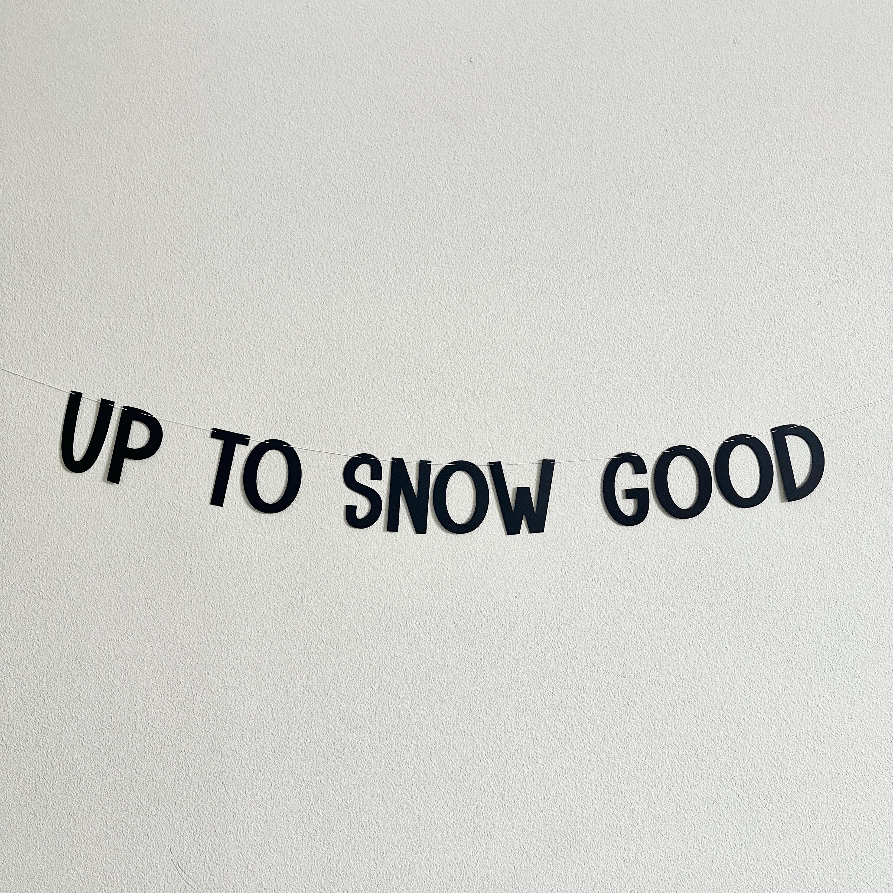 Up To Snow Good, Up To Snow Good Decorations, Up To Snow Good Banner, Winter Bachelorette, Up To No Good Decorations