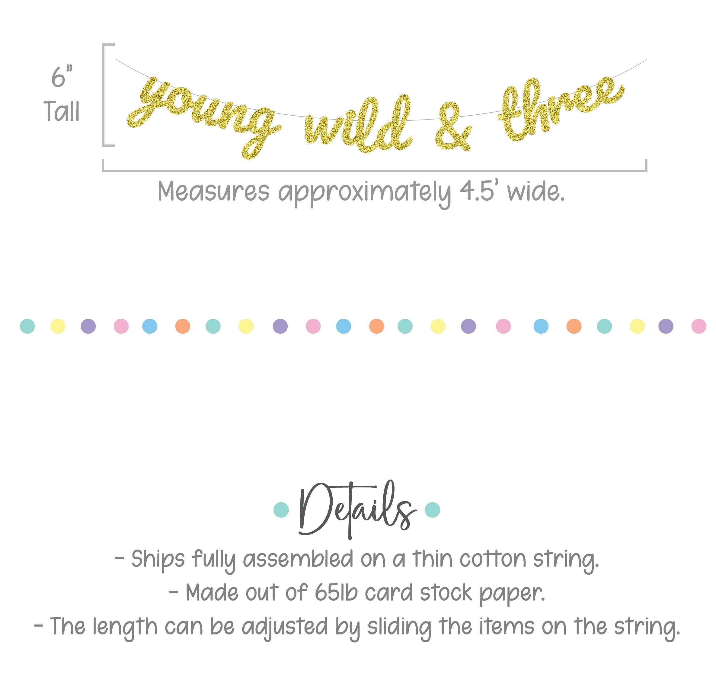 Young Wild & Three, Young Wild and Three Banner, 3rd Birthday Party, 3rd Birthday Banner, 3rd Birthday Party Decor, Gold 3rd Birthday Party