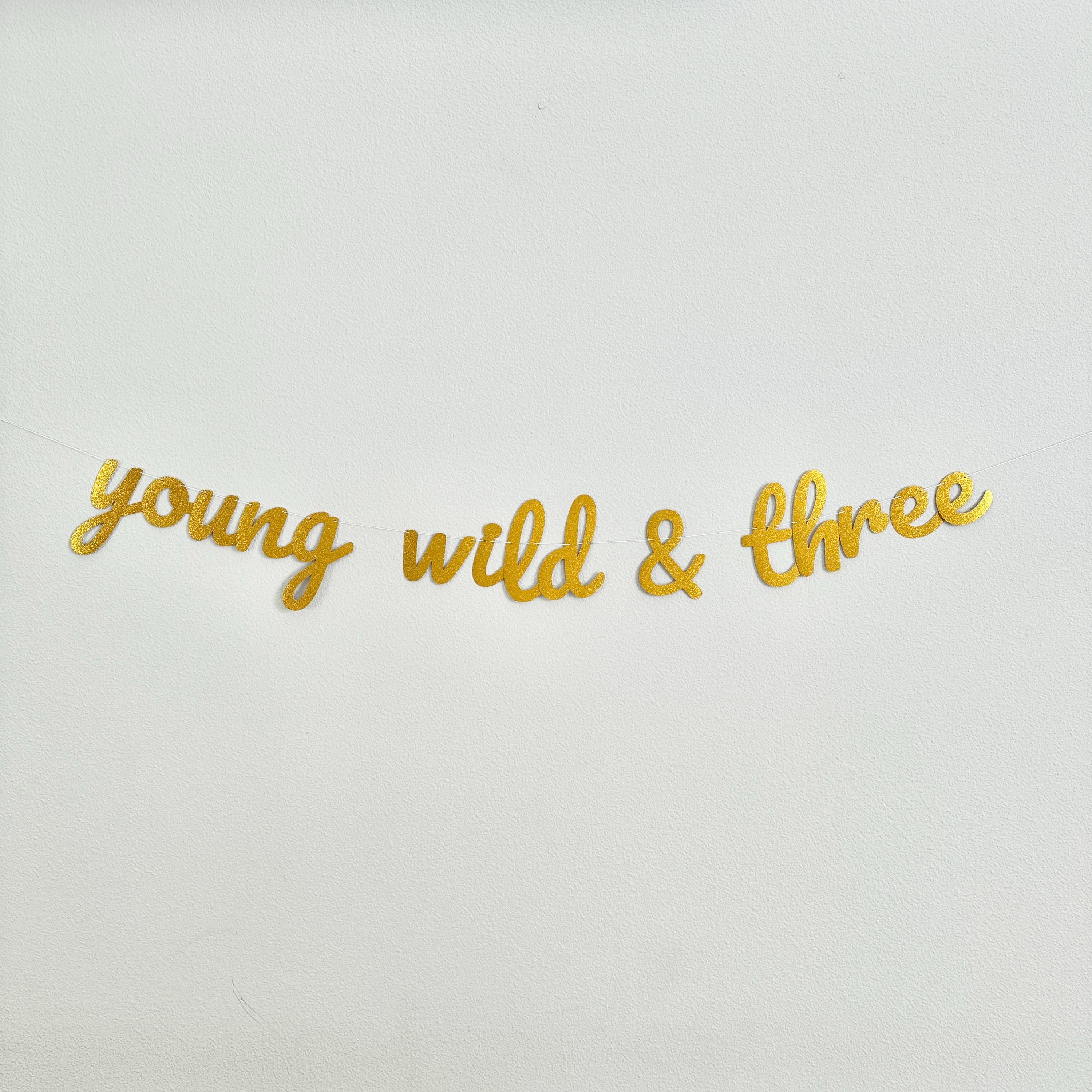 Young Wild & Three, Young Wild and Three Banner, 3rd Birthday Party, 3rd Birthday Banner, 3rd Birthday Party Decor, Gold 3rd Birthday Party