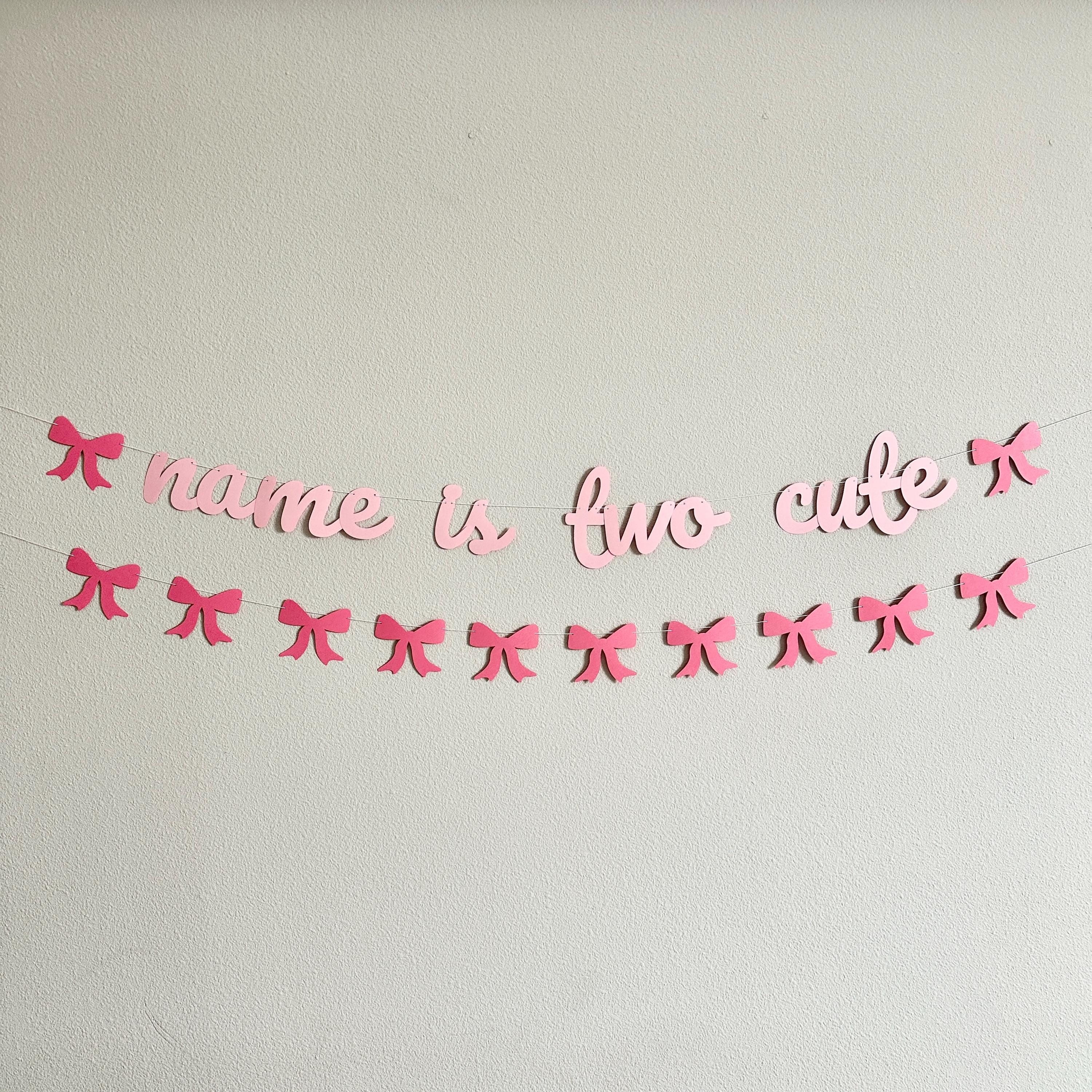 Name Is Two Cute, Two Cute Decorations, 2nd Birthday Party Banner, Coquette Themed 2nd Birthday Decorations, Two Cute