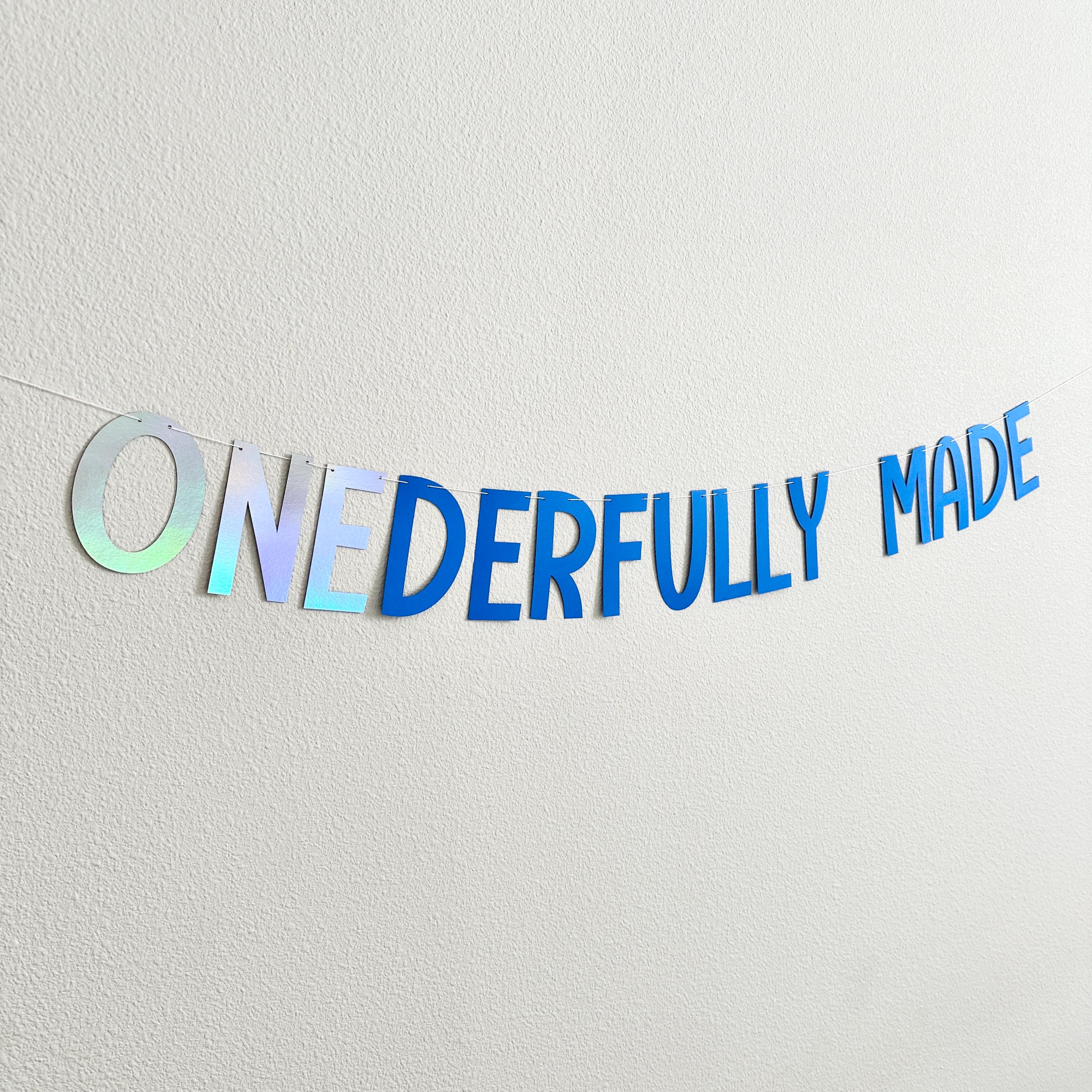 ONEderfully Made, 1st Birthday Party Decorations, 1st Birthday Party Ideas, Onederfully Made Theme, First Birthday Party Decorations