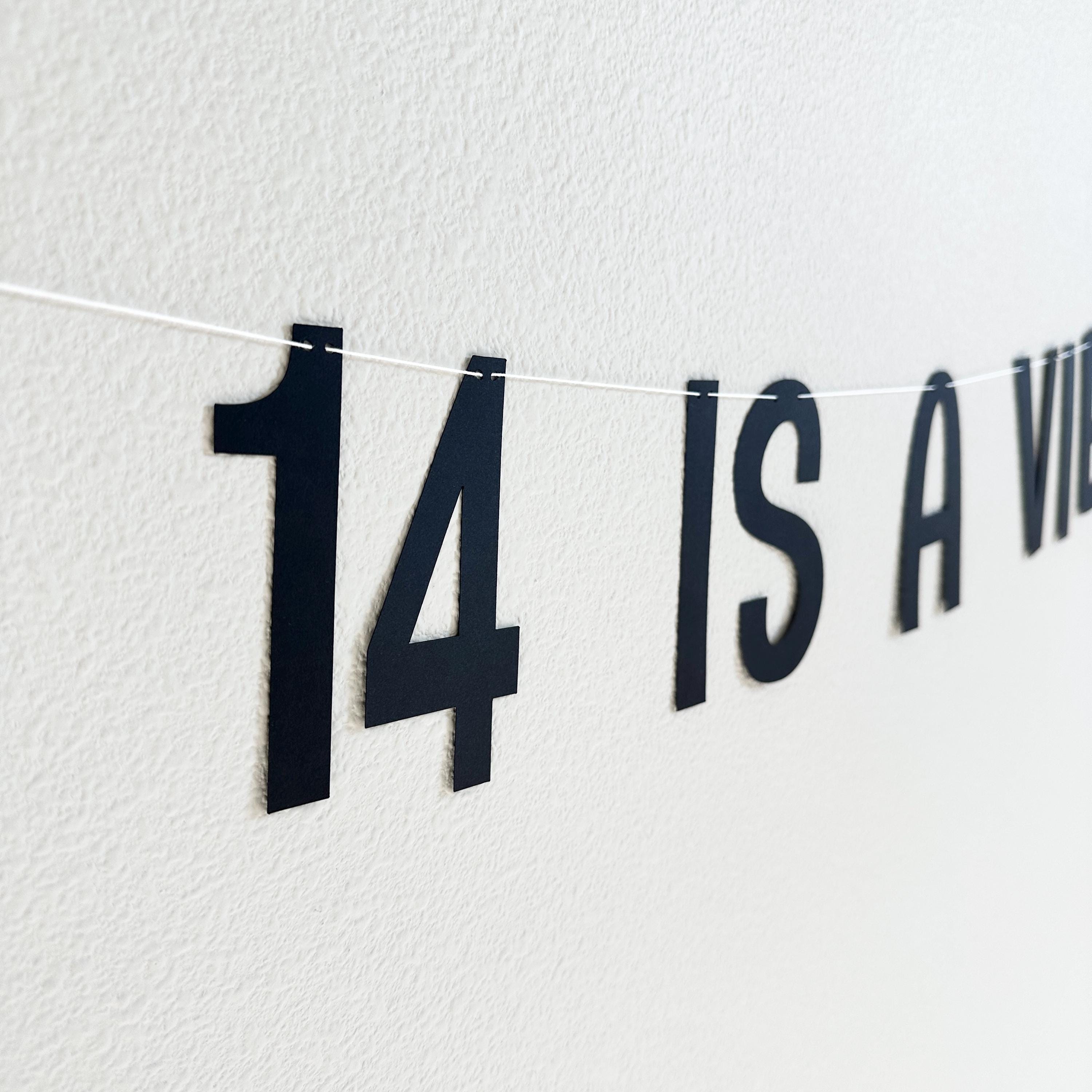 14 Is A Vibe, 14th Birthday Banner, 14th Birthday Party Ideas, Fourteen, Fourteenth Birthday Decorations