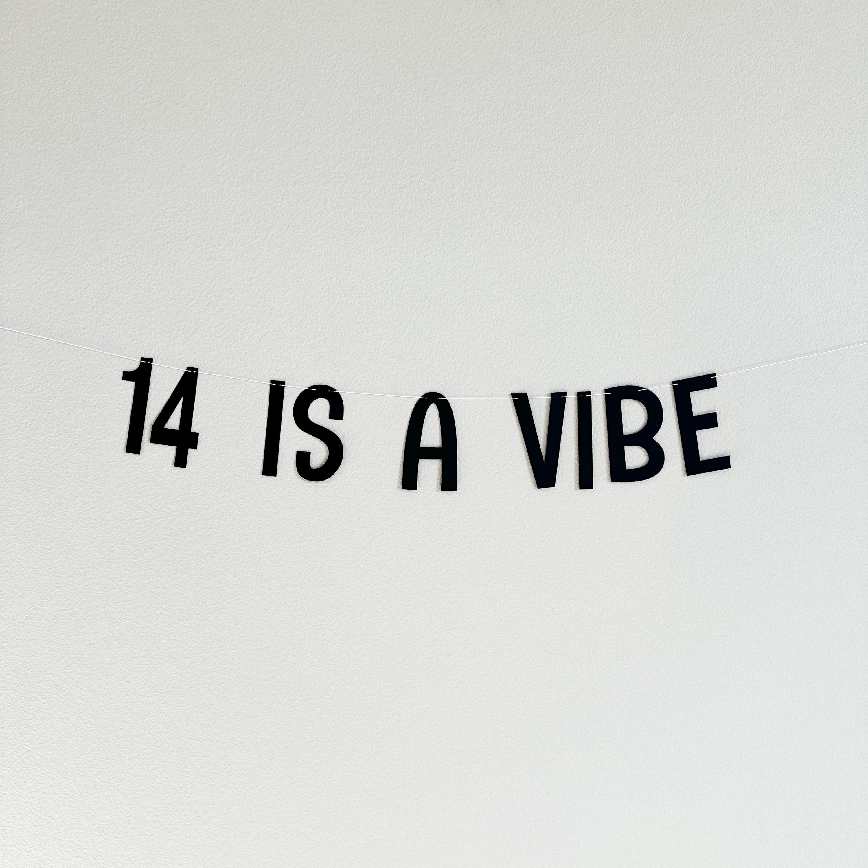 14 Is A Vibe, 14th Birthday Banner, 14th Birthday Party Ideas, Fourteen, Fourteenth Birthday Decorations