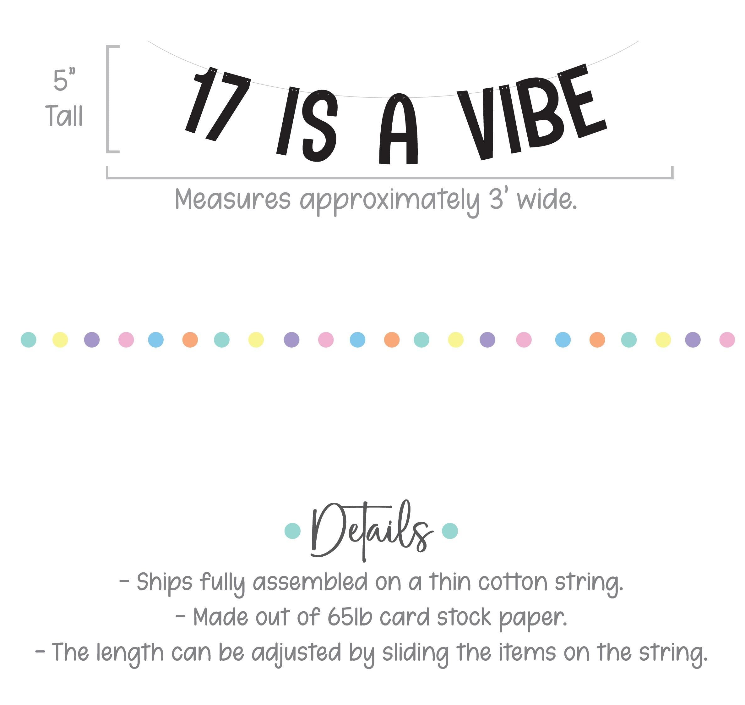 17 Is A Vibe, 17th Birthday Banner, 17th Birthday Party Ideas, Seventeenth, Seventeenth Birthday Decorations