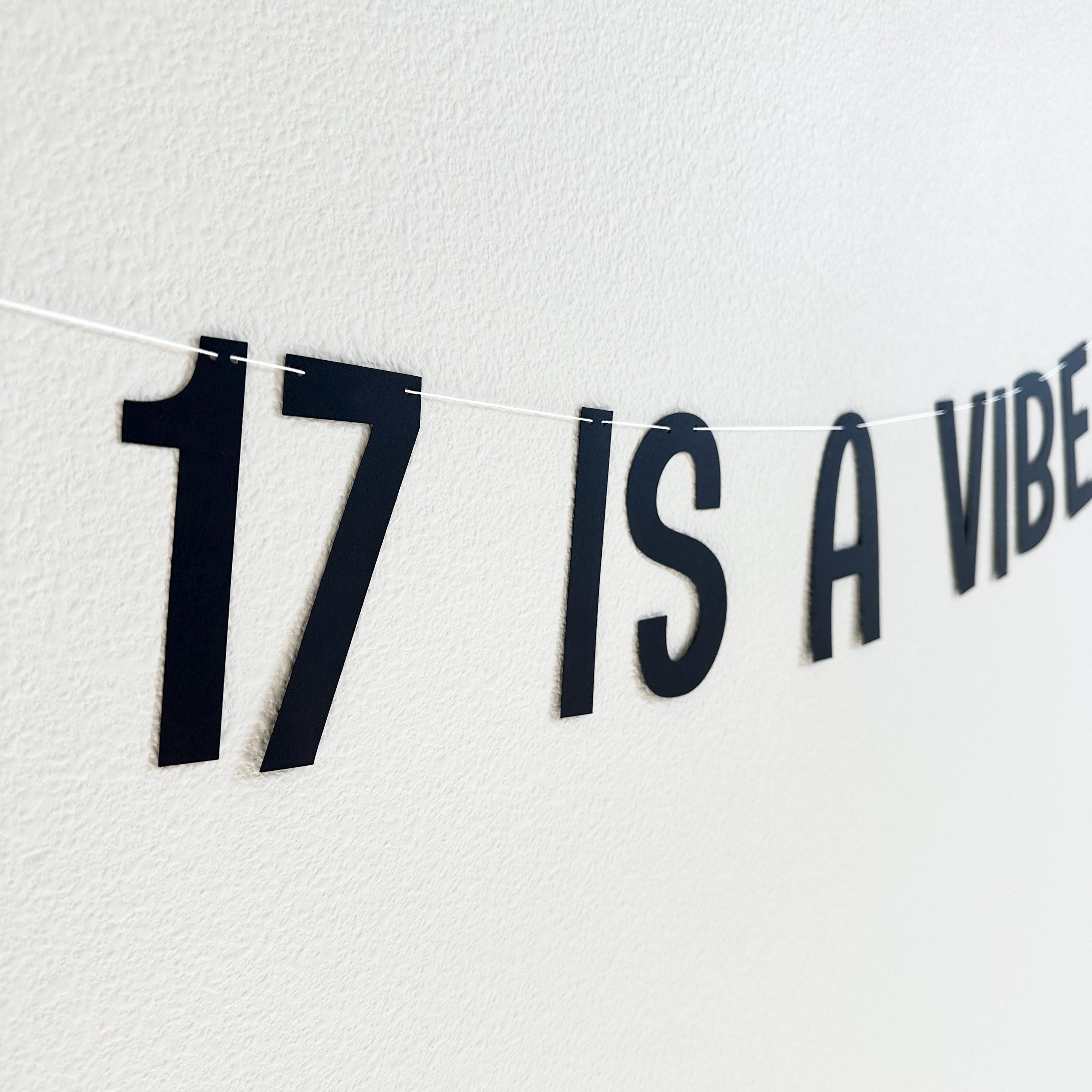 17 Is A Vibe, 17th Birthday Banner, 17th Birthday Party Ideas, Seventeenth, Seventeenth Birthday Decorations