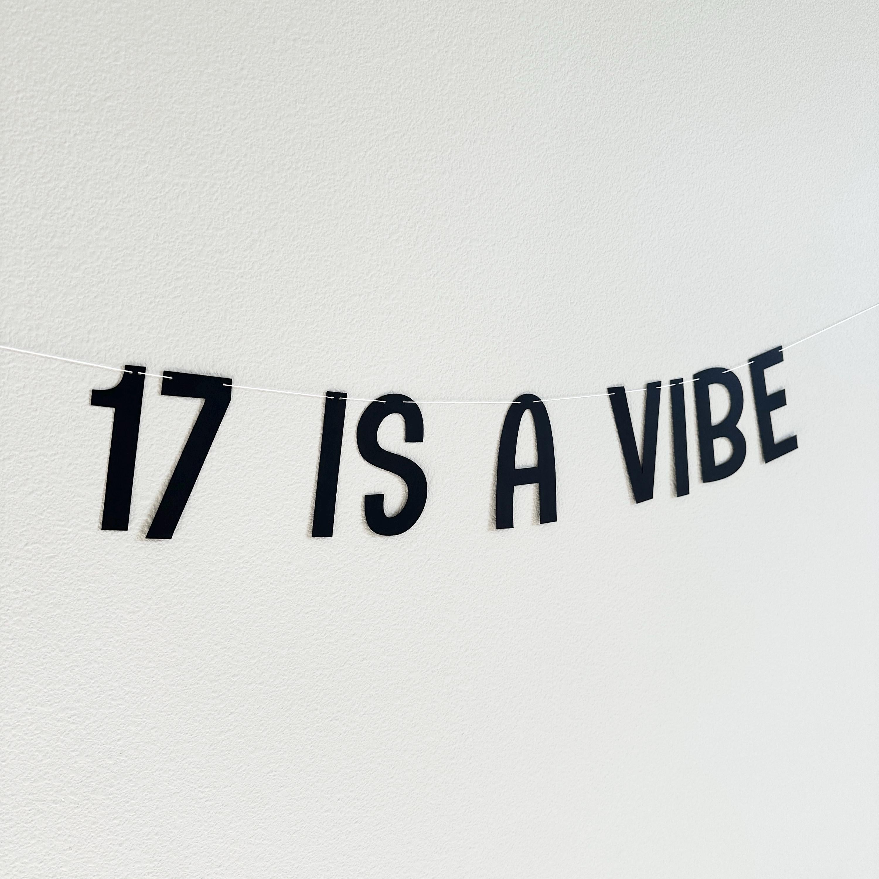 17 Is A Vibe, 17th Birthday Banner, 17th Birthday Party Ideas, Seventeenth, Seventeenth Birthday Decorations