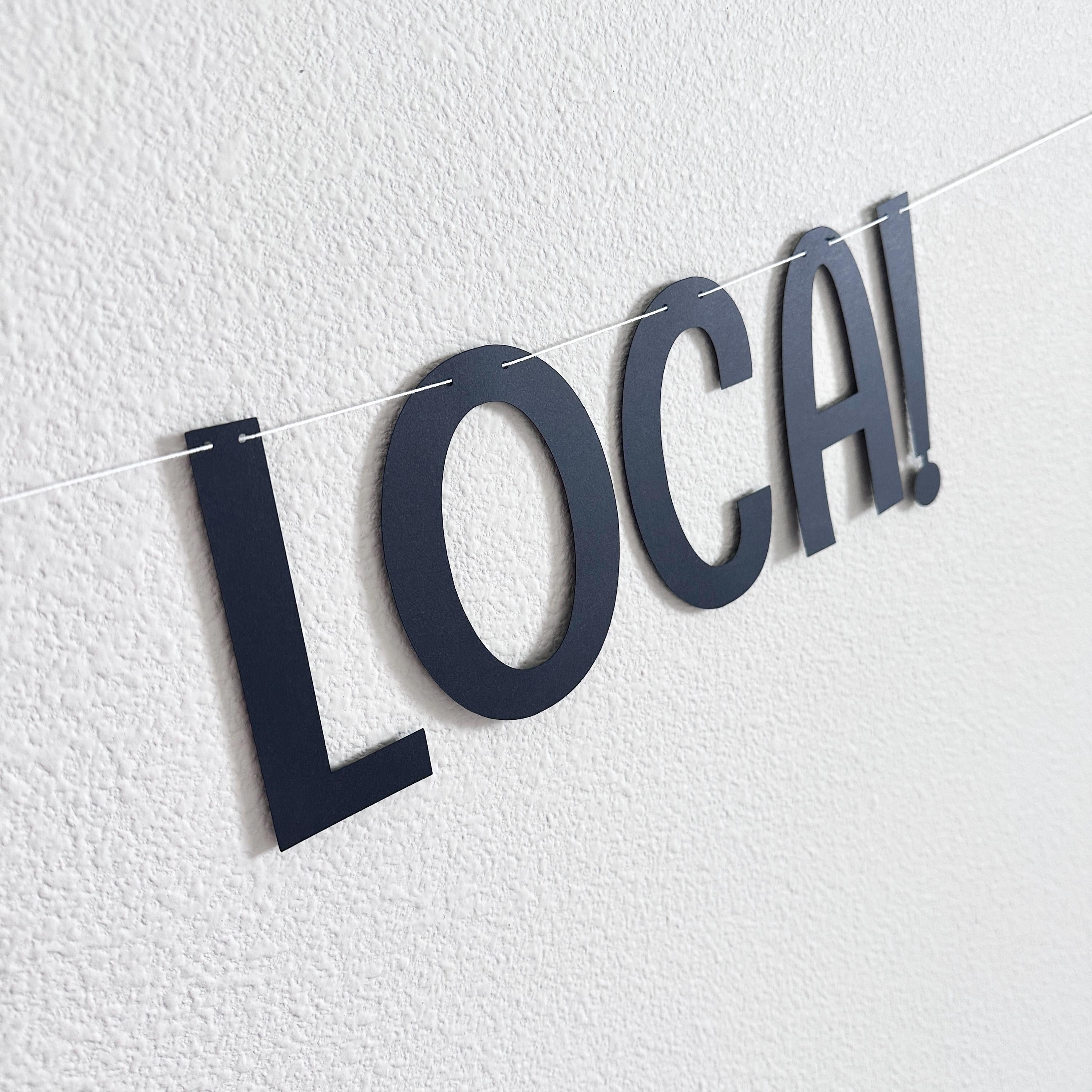 Happy Birthday Loca!, Happy Birthday Loca Banner, Happy Birthday Loca Decorations, Happy Birthday Loca Party Theme