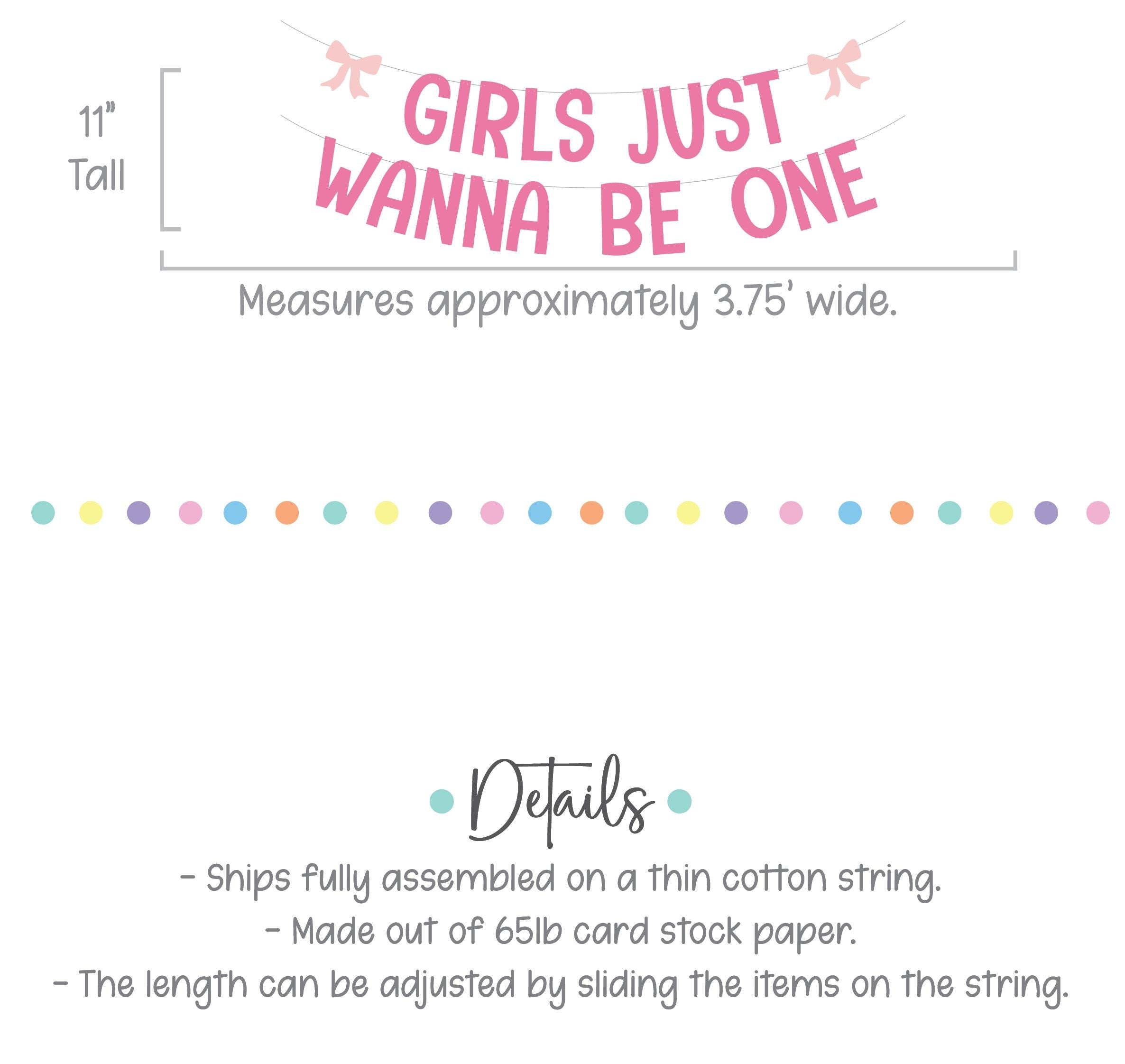 Girls Just Wanna Be One, 1st birthday Party Theme Ideas, Coquette First Birthday Decorations, Bow Themed Banner