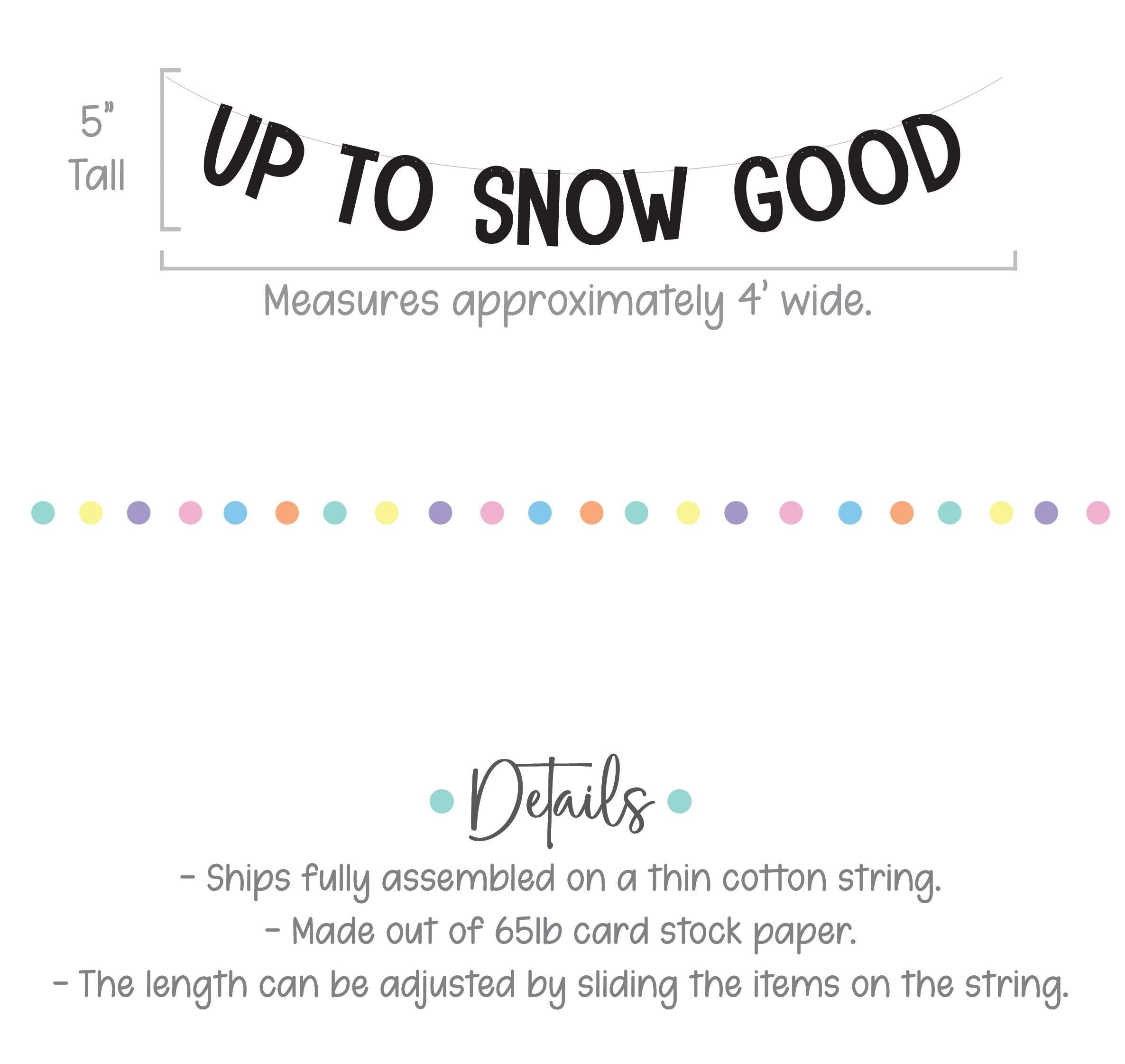 Up To Snow Good, Up To Snow Good Decorations, Up To Snow Good Banner, Winter Bachelorette, Up To No Good Decorations