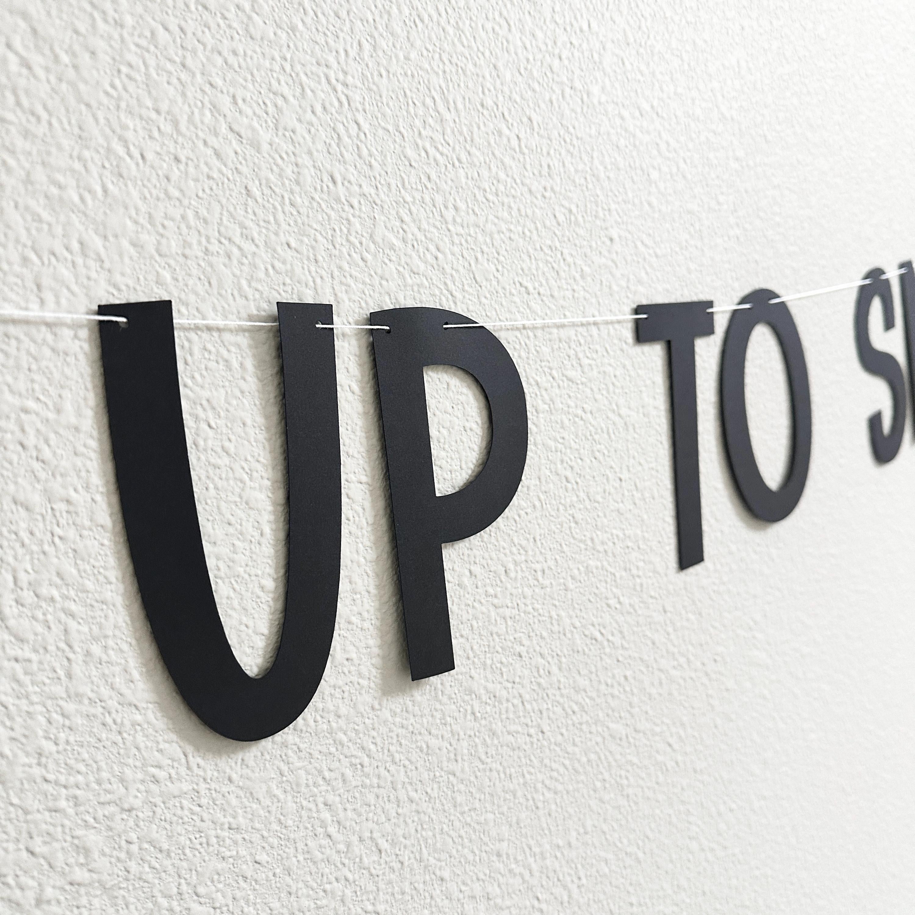 Up To Snow Good, Up To Snow Good Decorations, Up To Snow Good Banner, Winter Bachelorette, Up To No Good Decorations